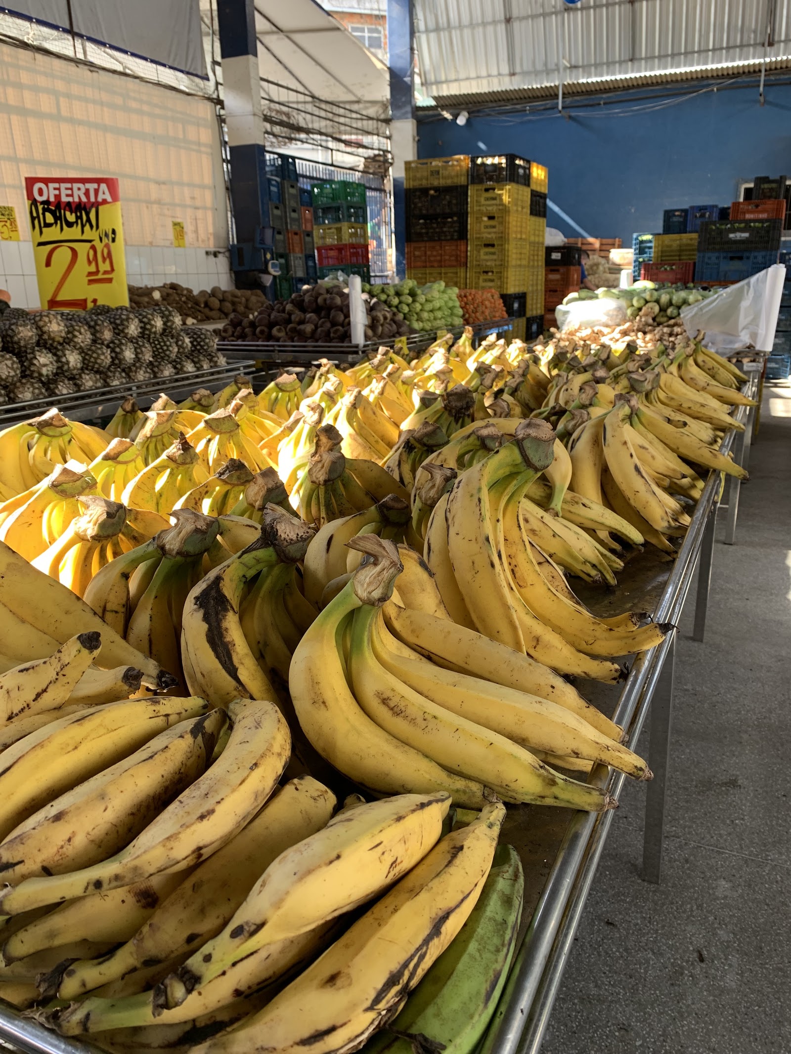 Hort - Frut Feirão
