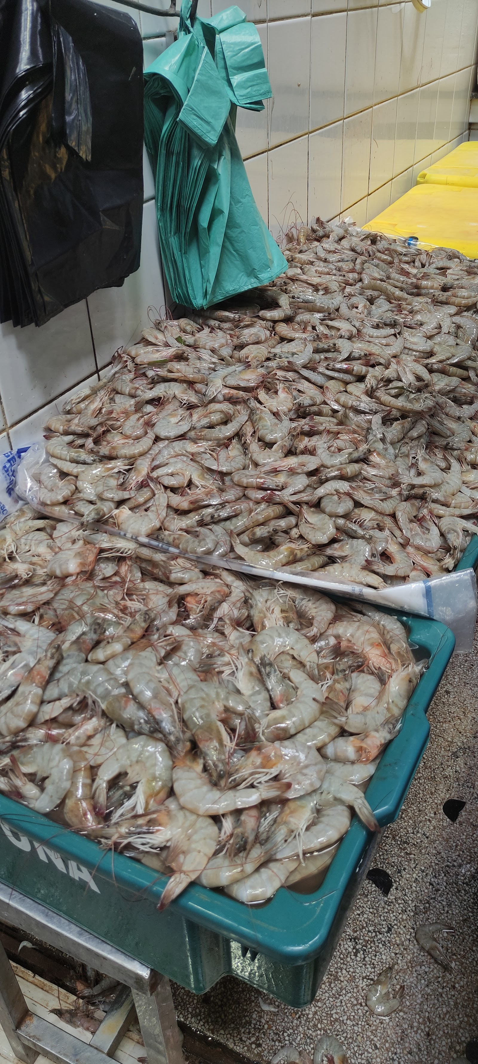 Mercado do Peixe
