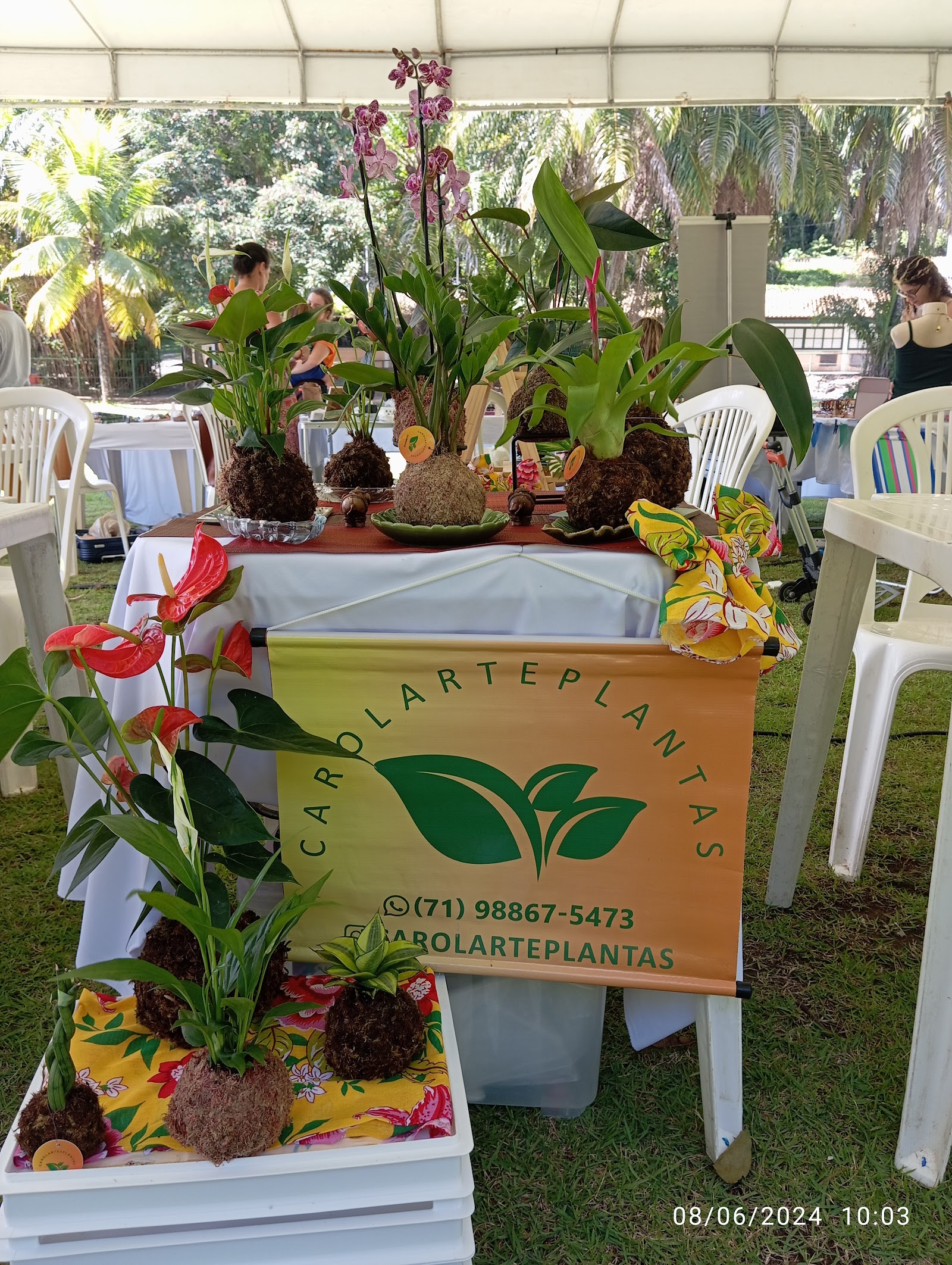 Feira Vegana Salvador