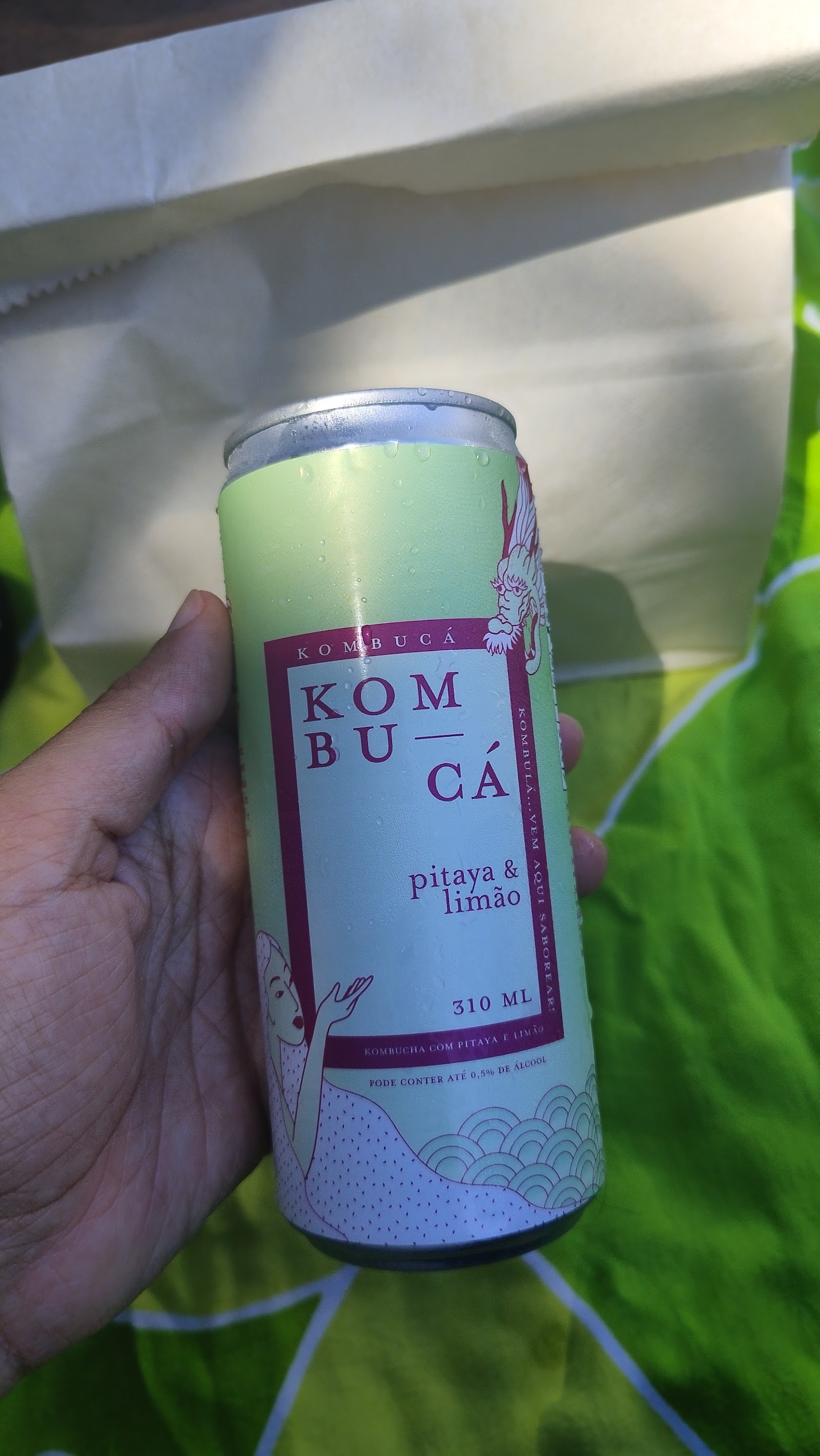 Feira Vegana Salvador