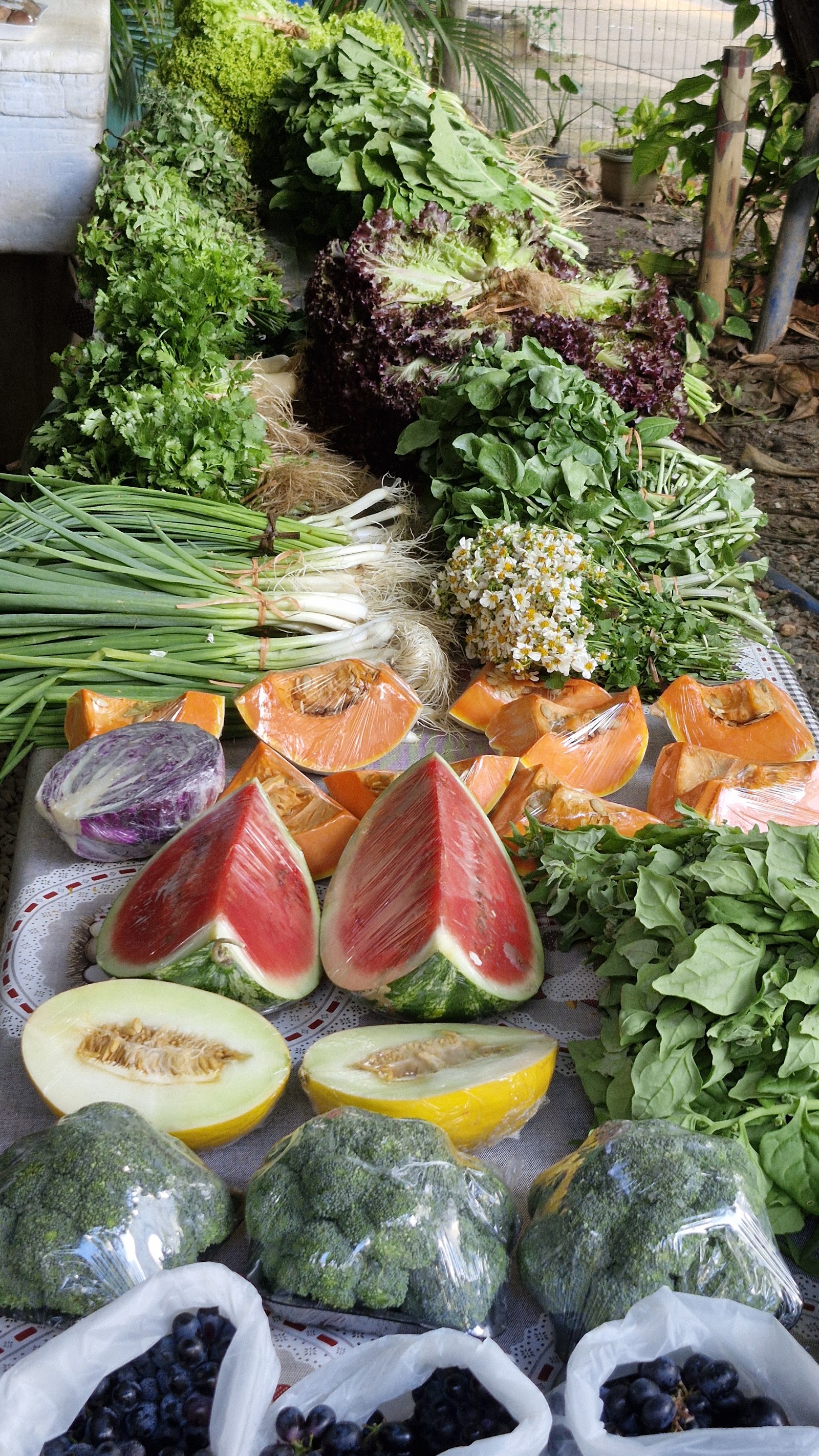 Feira Agroecológica da Pituba
