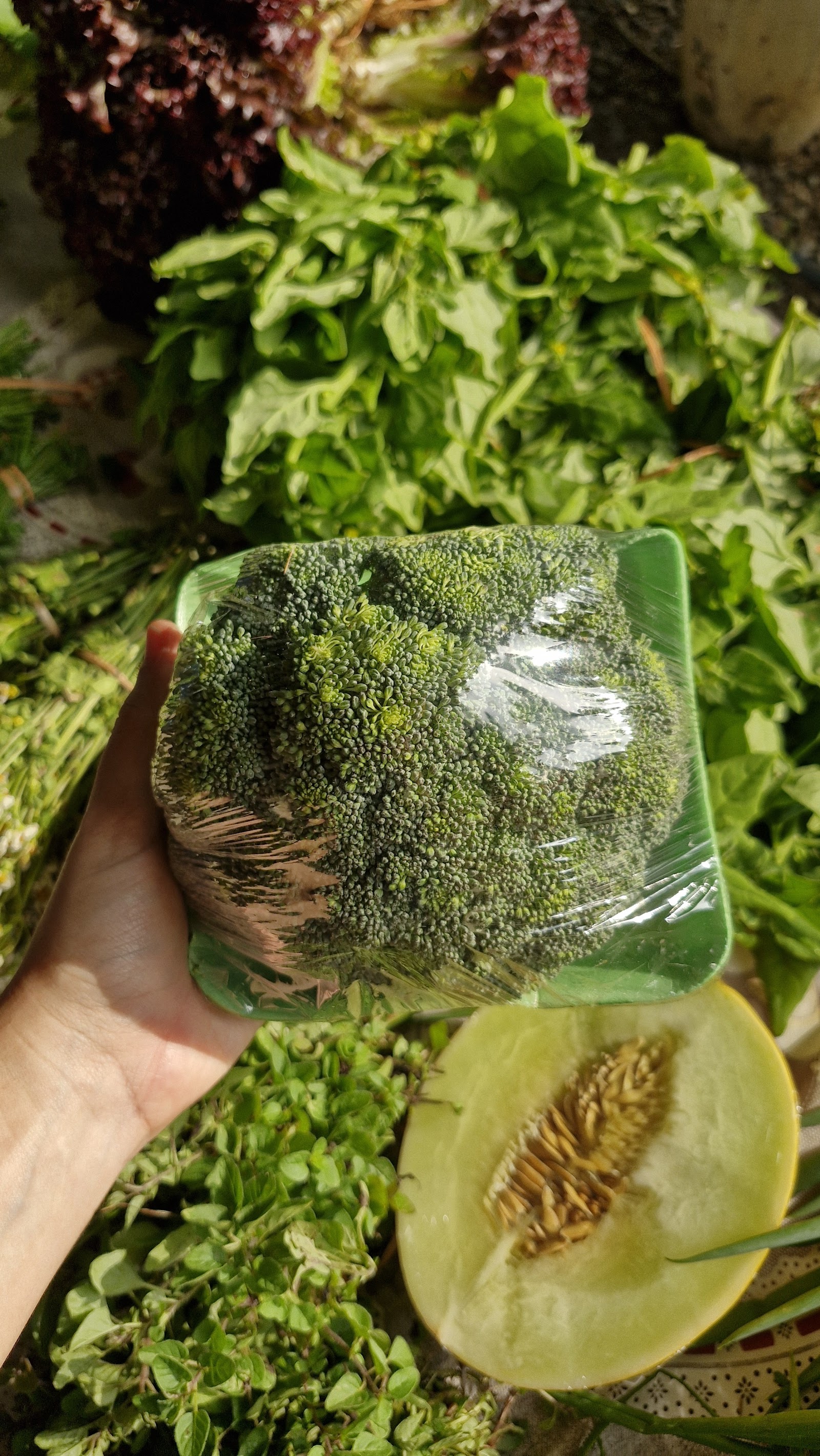 Feira Agroecológica da Pituba