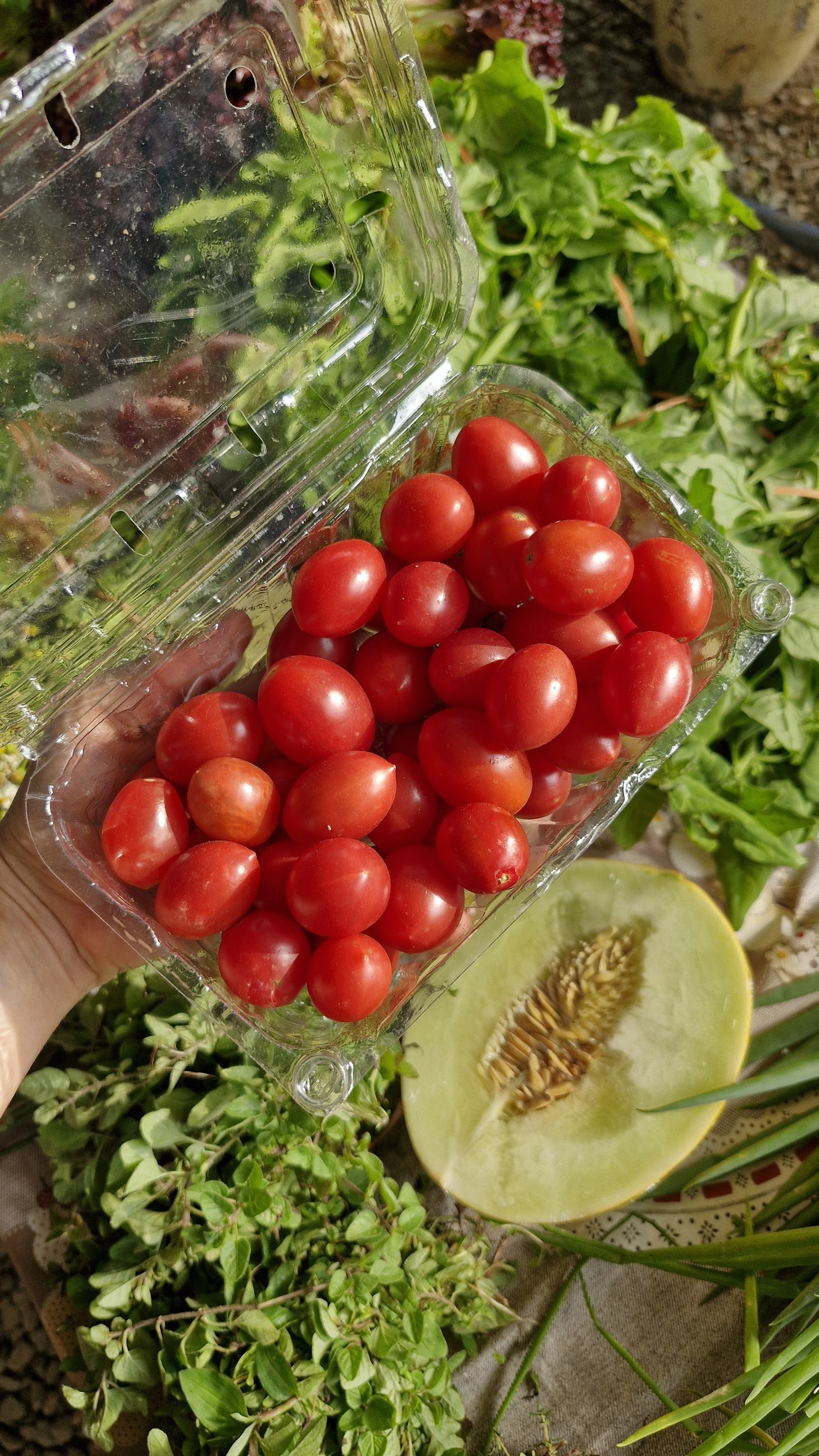 Feira Agroecológica da Pituba