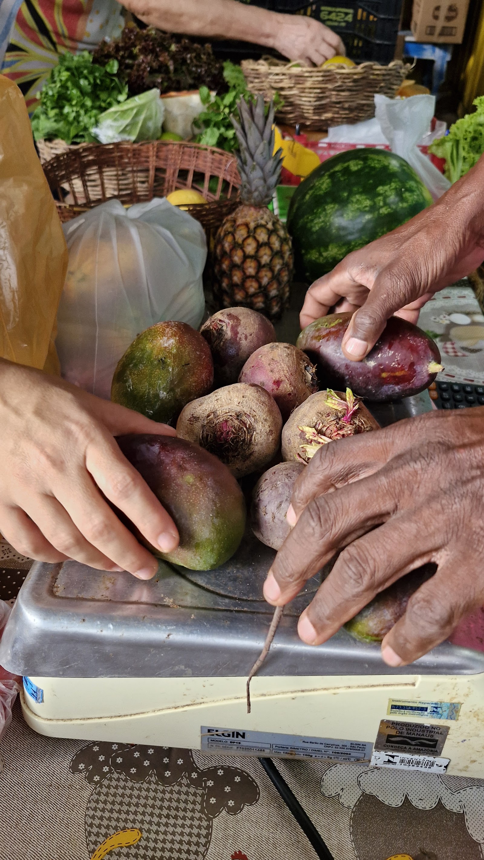 Feira Agroecológica da Pituba