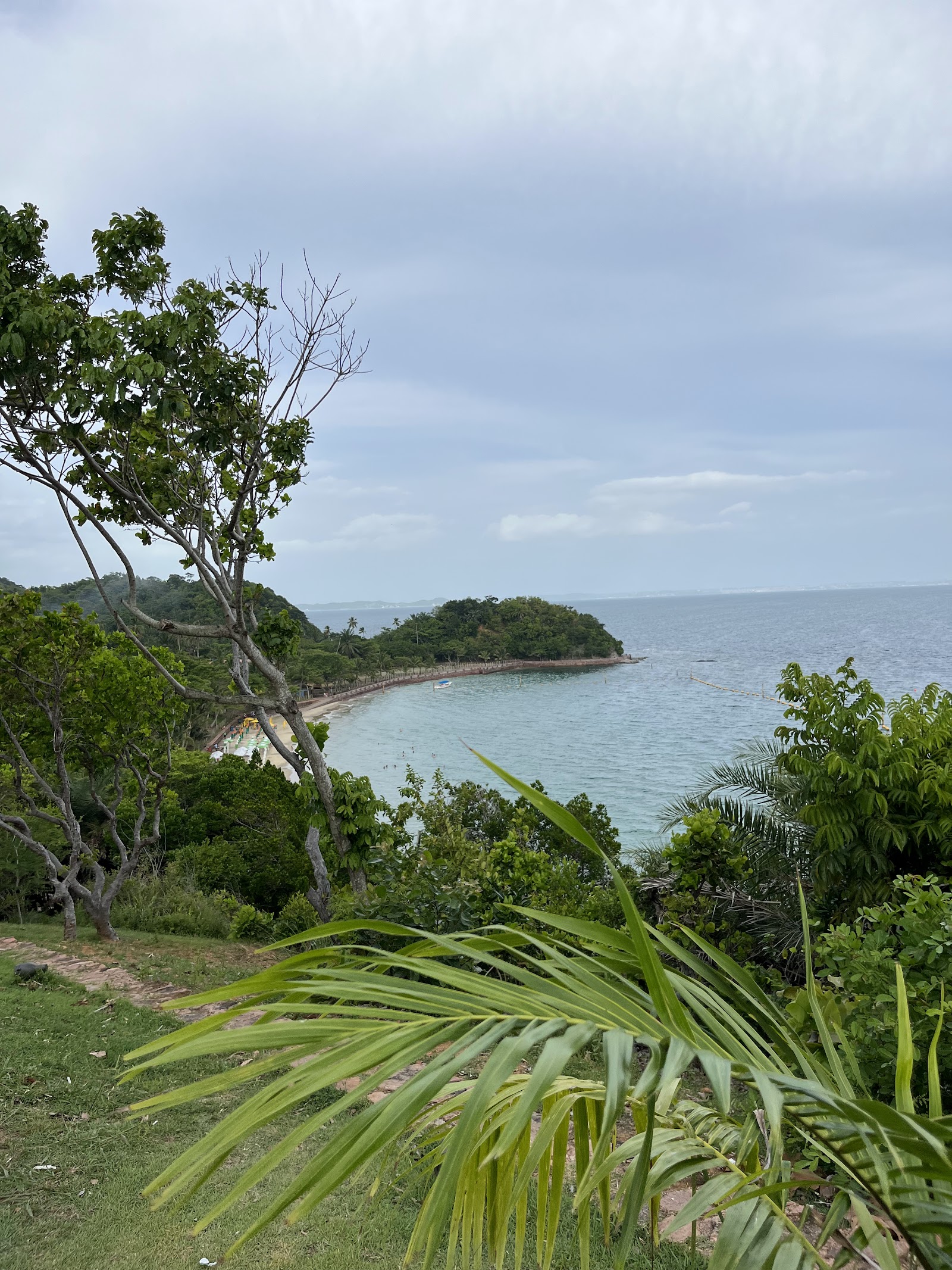 Passeios as Ilhas