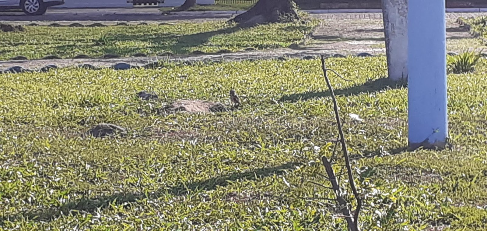 Praça dos Veranistas