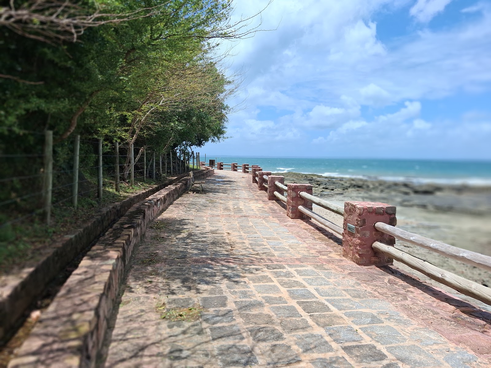 Passeio de Escuna em Salvador | Ilha dos Frades e Itaparica | Apolônio Turismo - Salvador-Ba