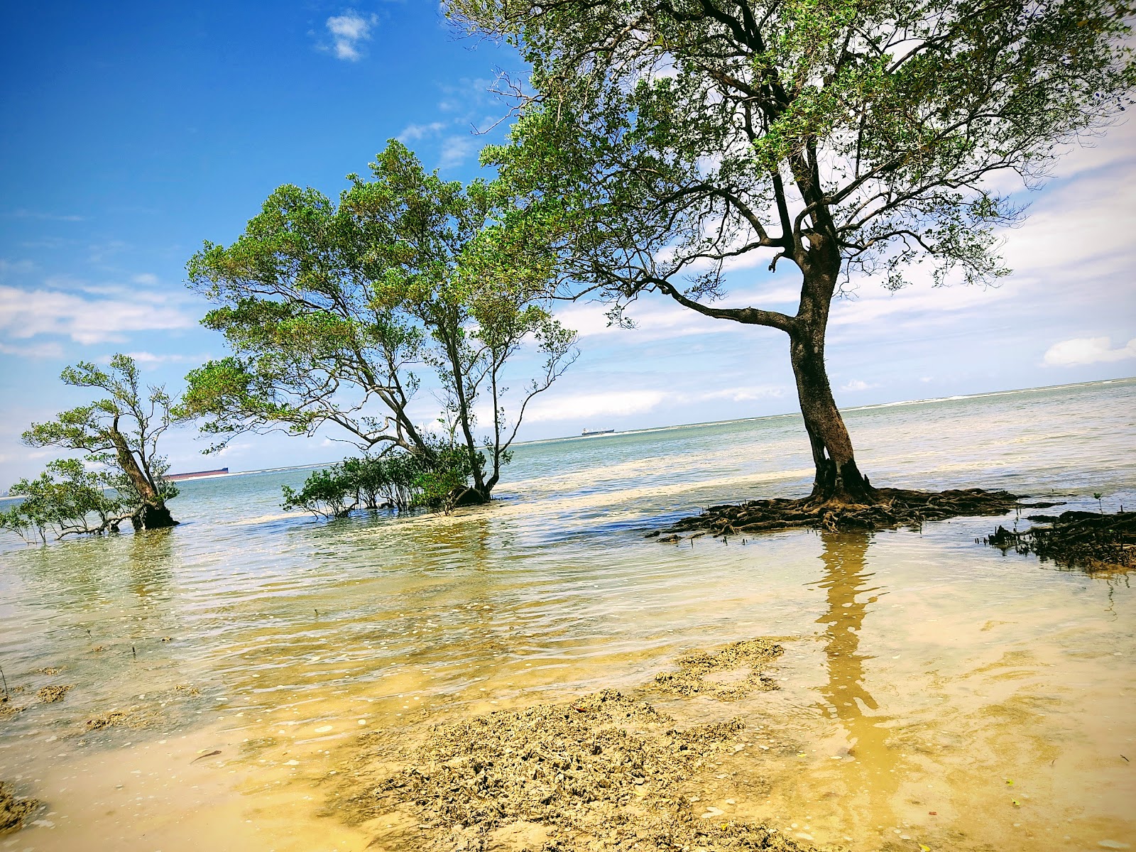 Praia de Conceição - Ilha de Itaparica