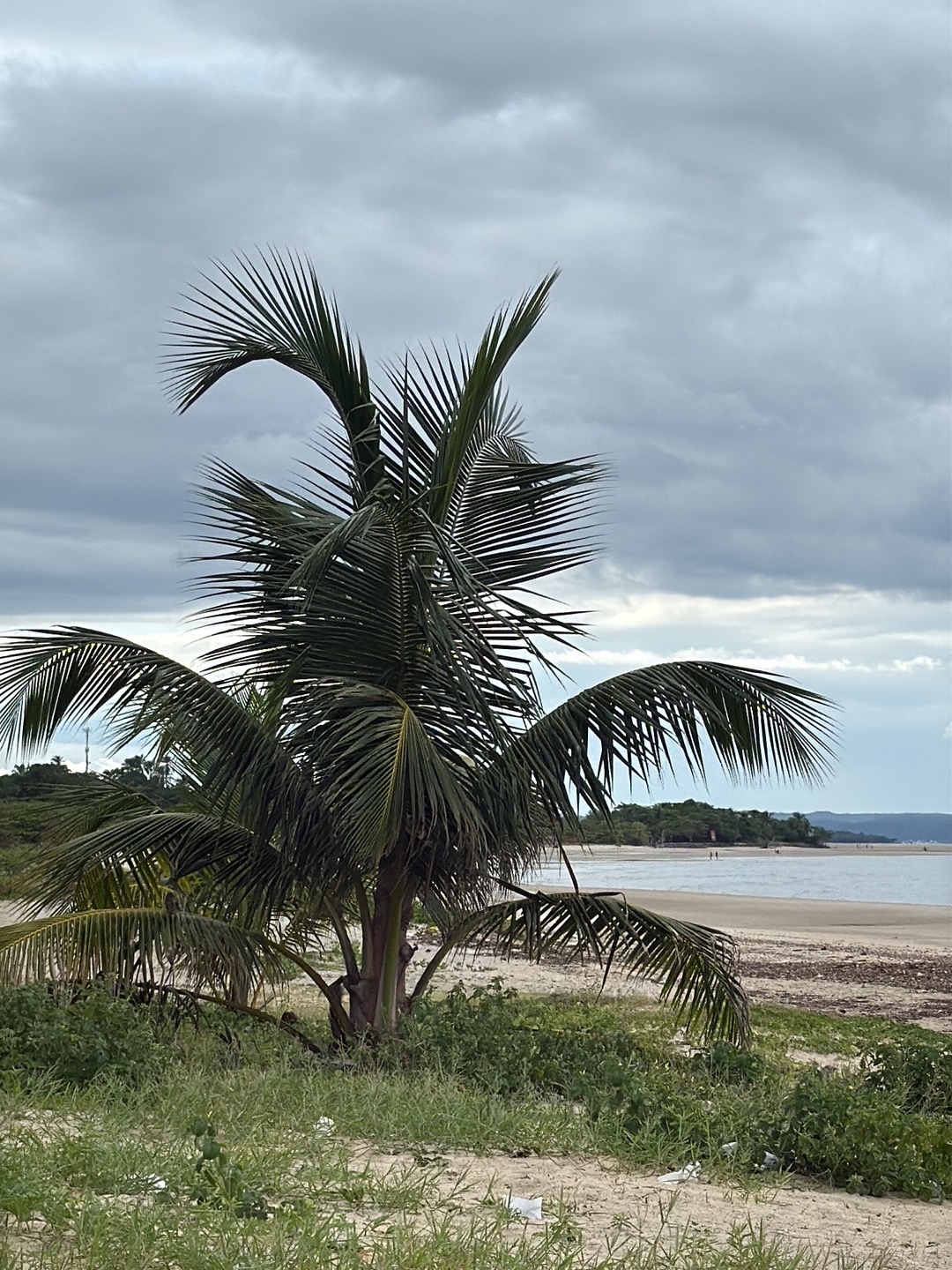 Praia Ponta de Areia