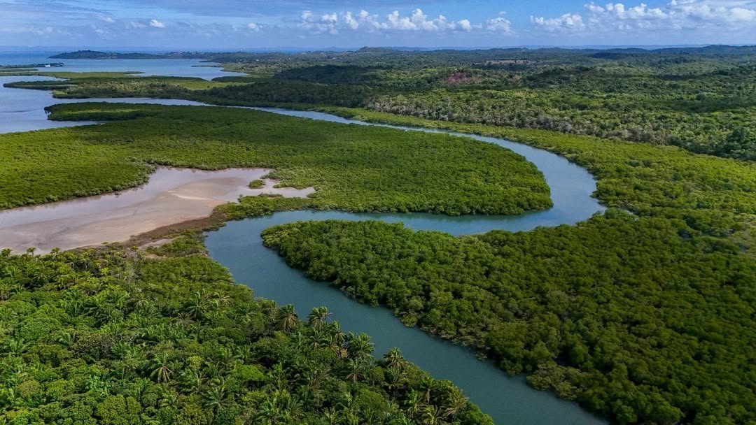 Praia Ponta de Areia