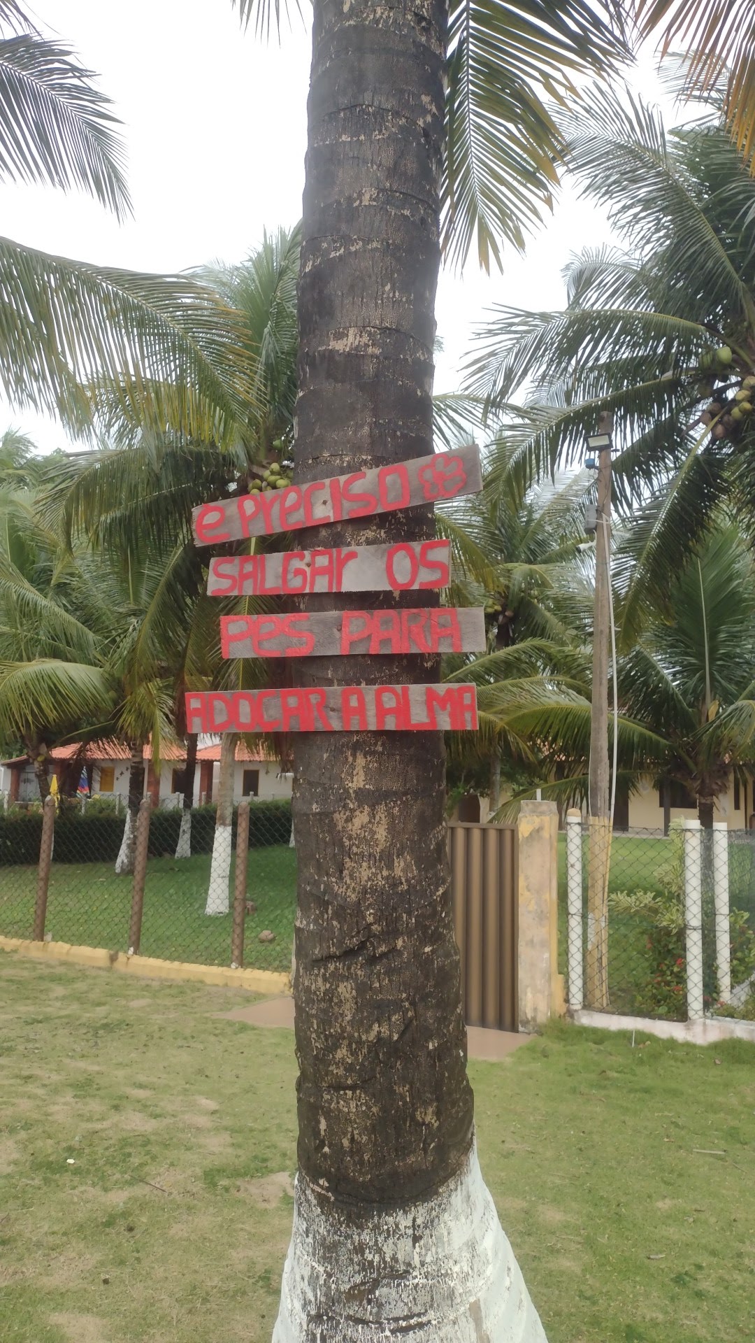 Vera Cruz