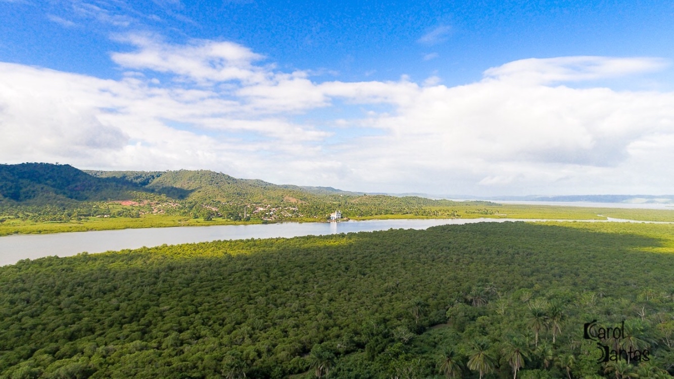 Fazenda Cassinum