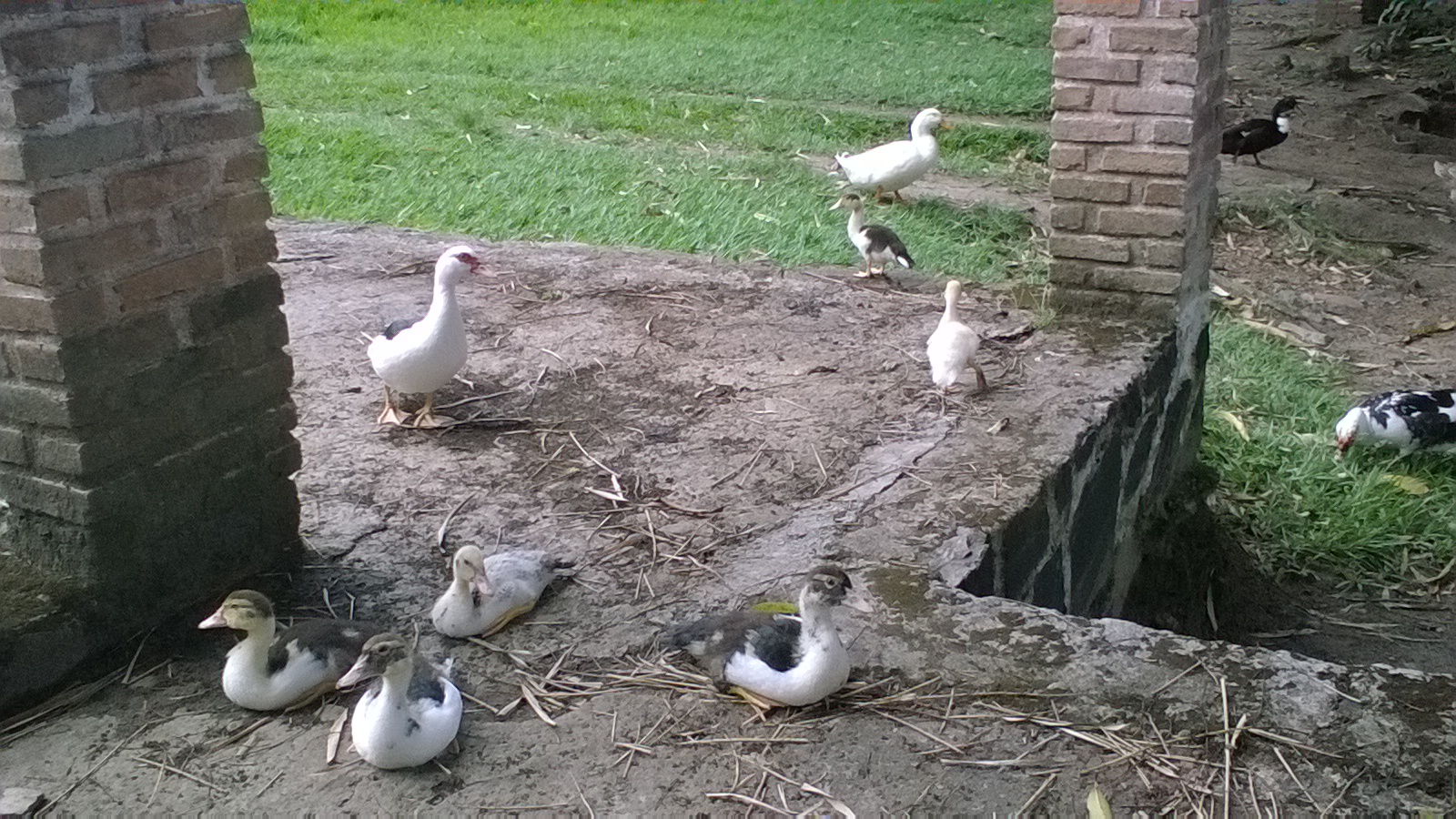 Balneário Vale das cachoeiras