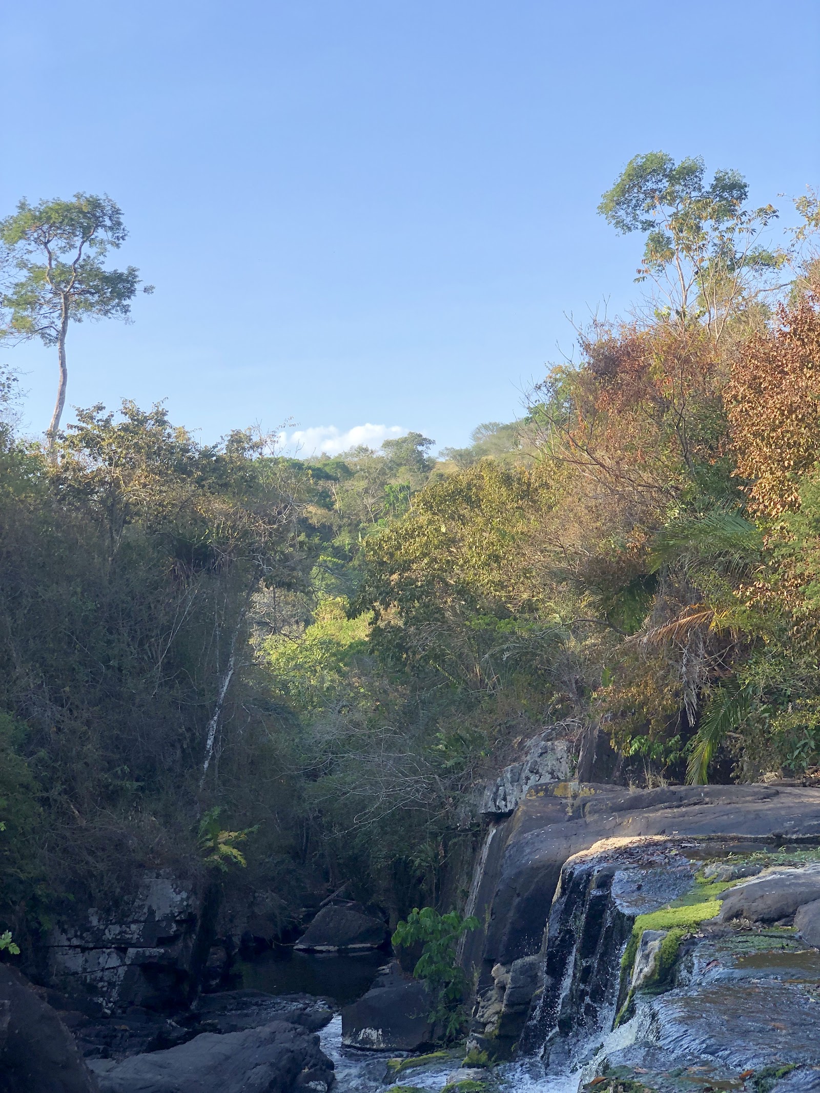 Cachoeira Poço da Roda ... Parque Ecológico Robson Dorme
