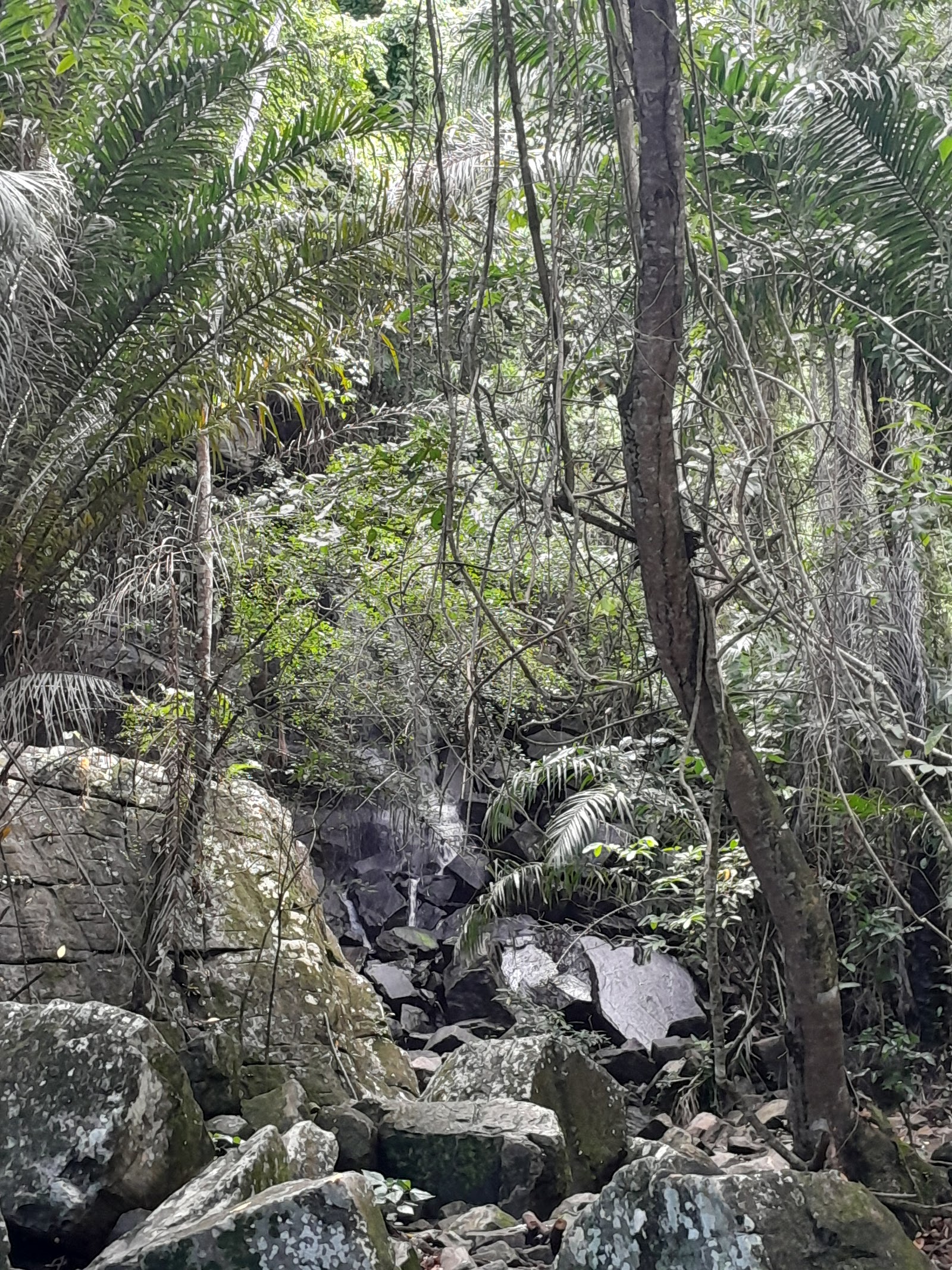 Cachoeira Poço da Roda ... Parque Ecológico Robson Dorme