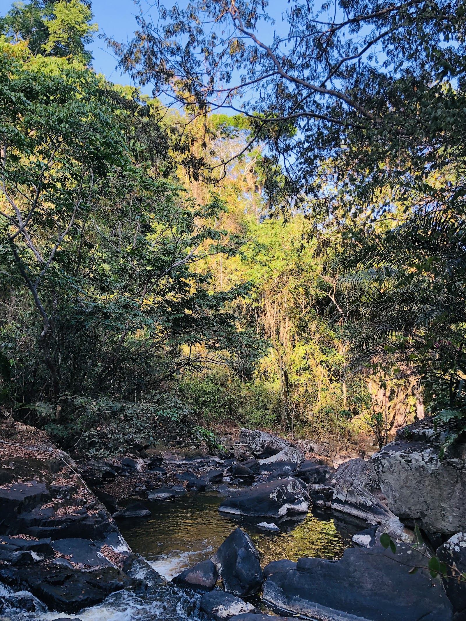 Cachoeira Poço da Roda ... Parque Ecológico Robson Dorme