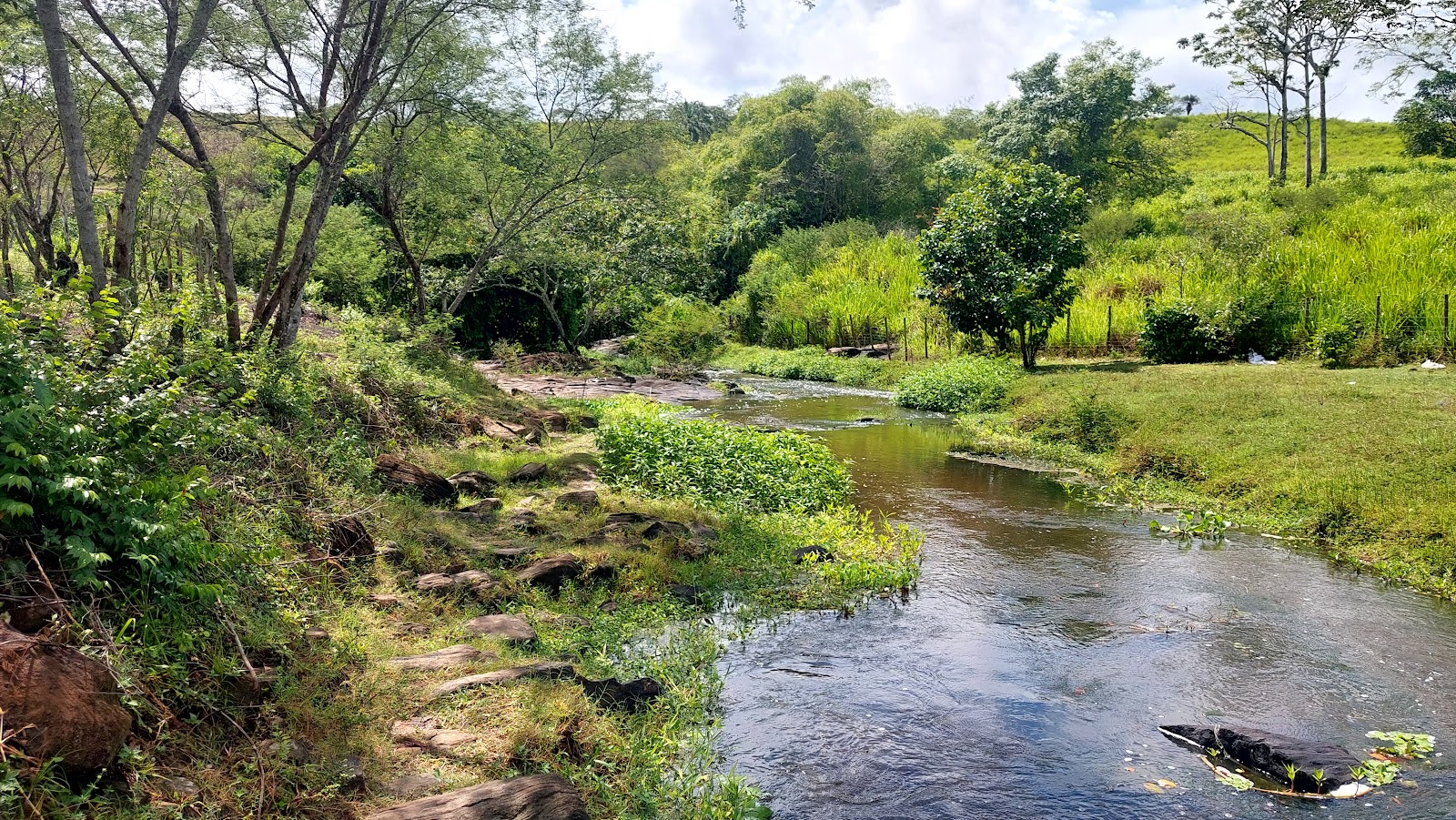 Cachoeira Poço da Roda ... Parque Ecológico Robson Dorme