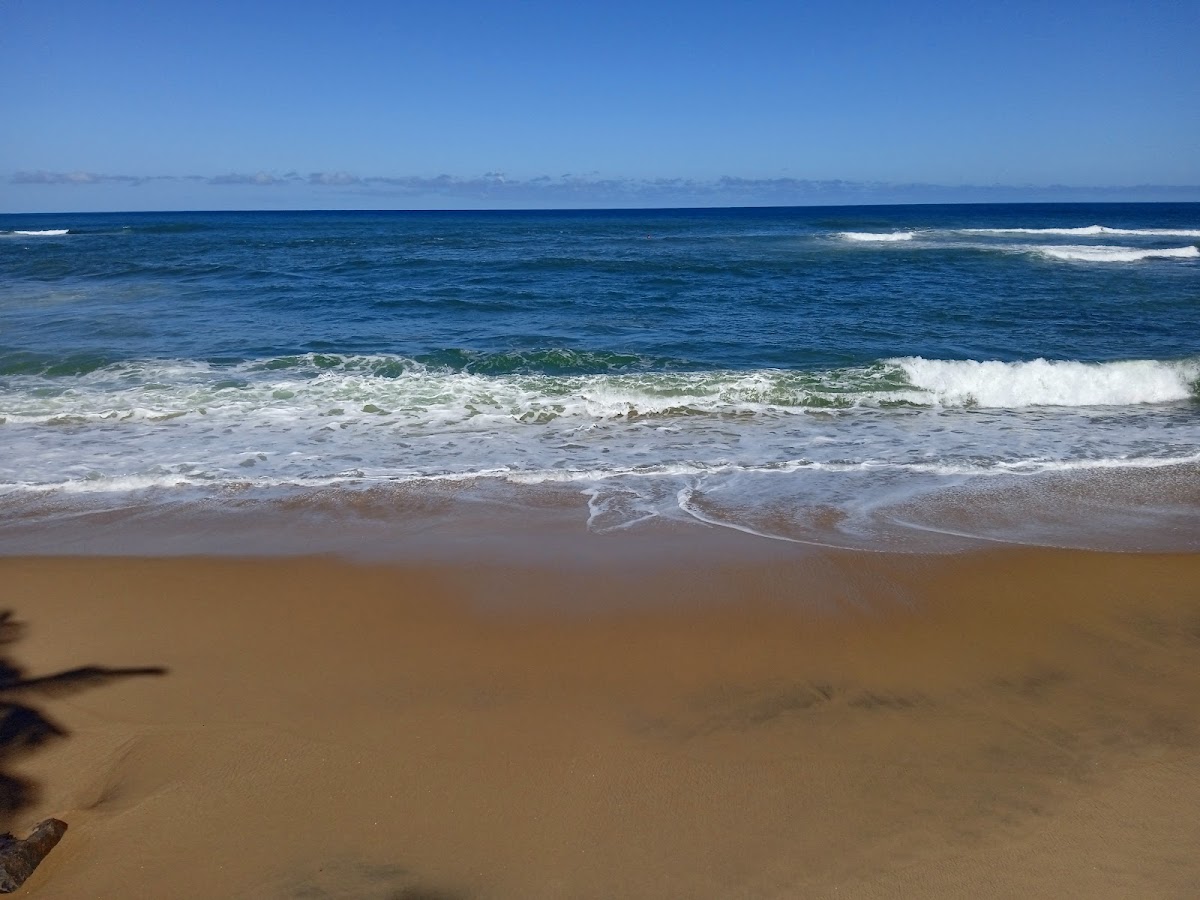 Praia de Ondina