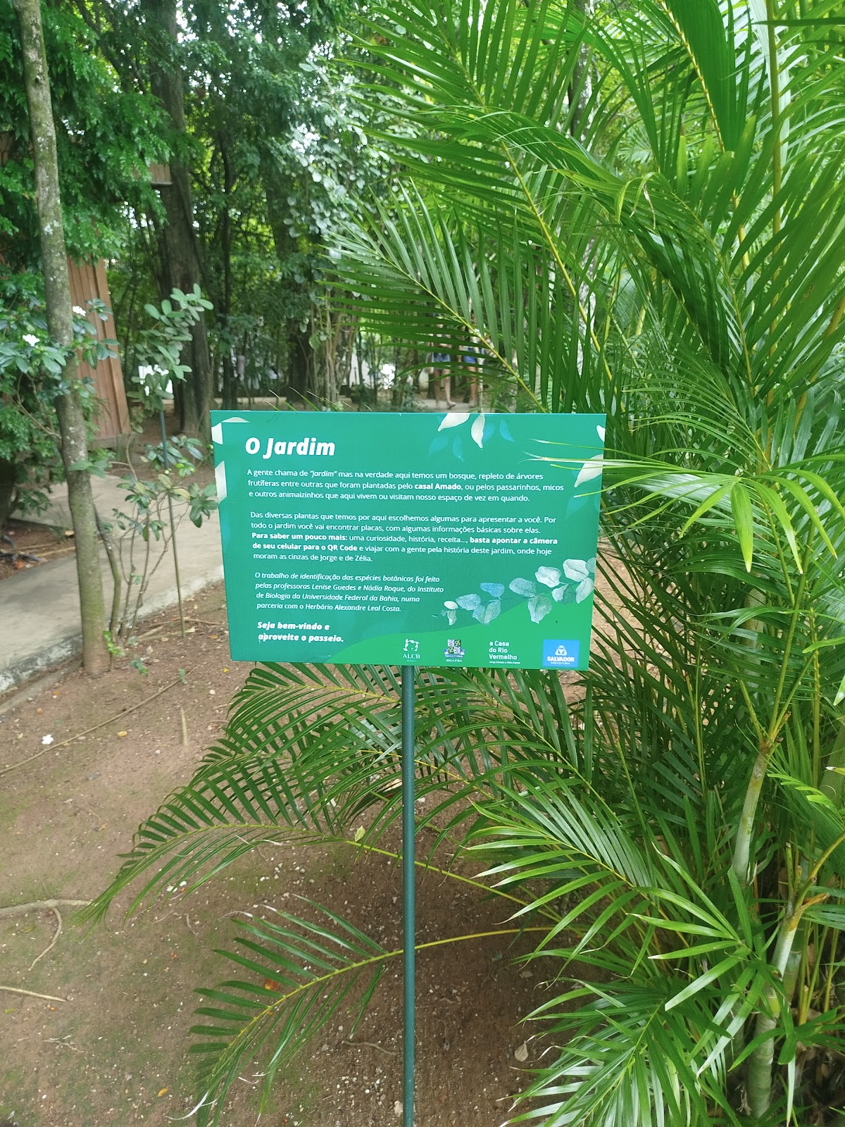 Rio Vermelho BA museu Jorge amado