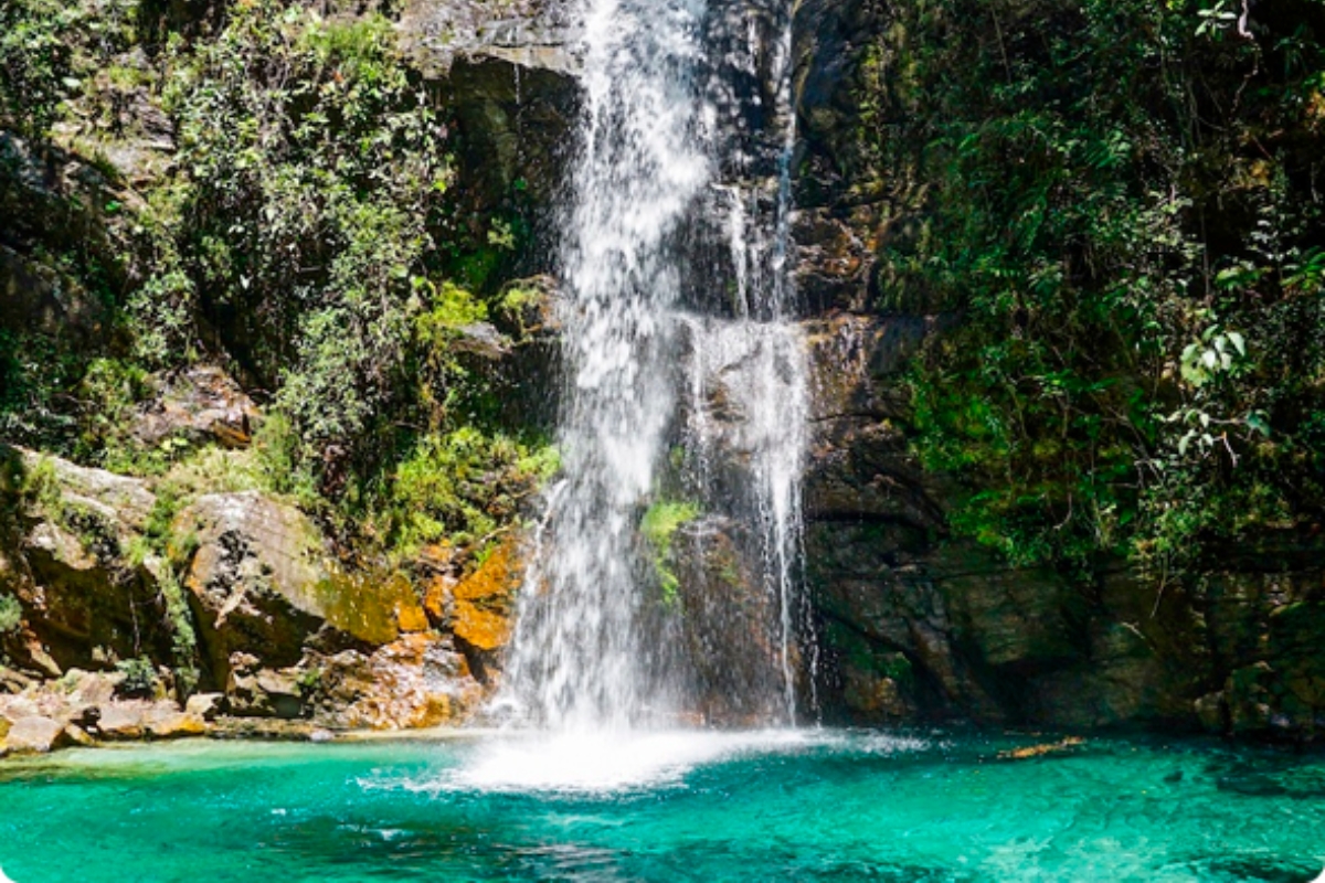Portal do Beija-Flor