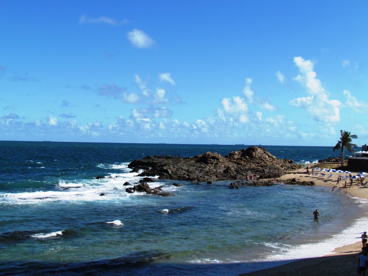 Praia do Farol da Barra