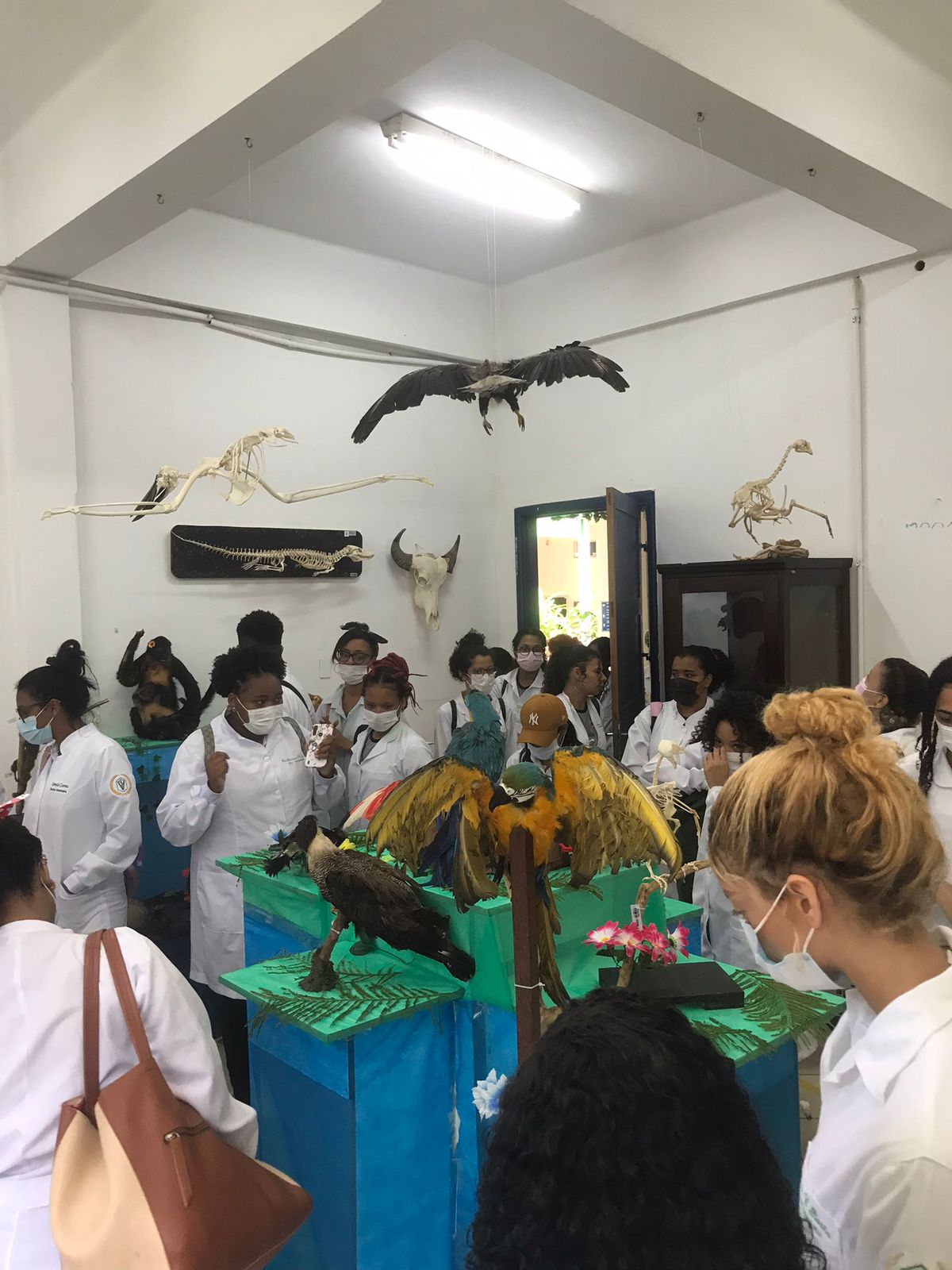 Museu Interativo de Anatomia Comparada