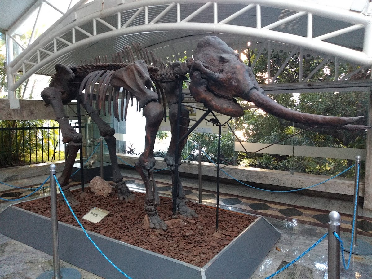 Museu Geológico da Bahia