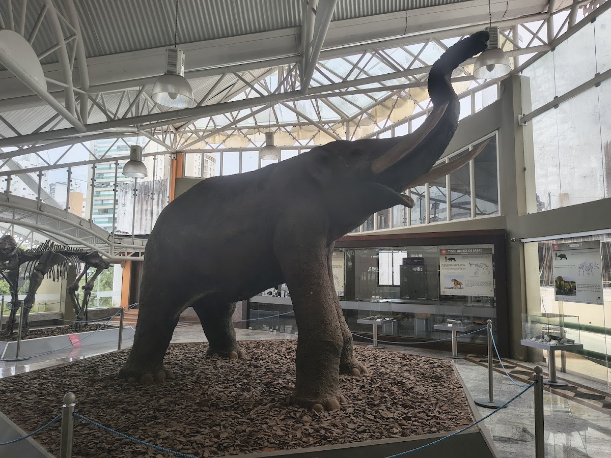 Museu Geológico da Bahia