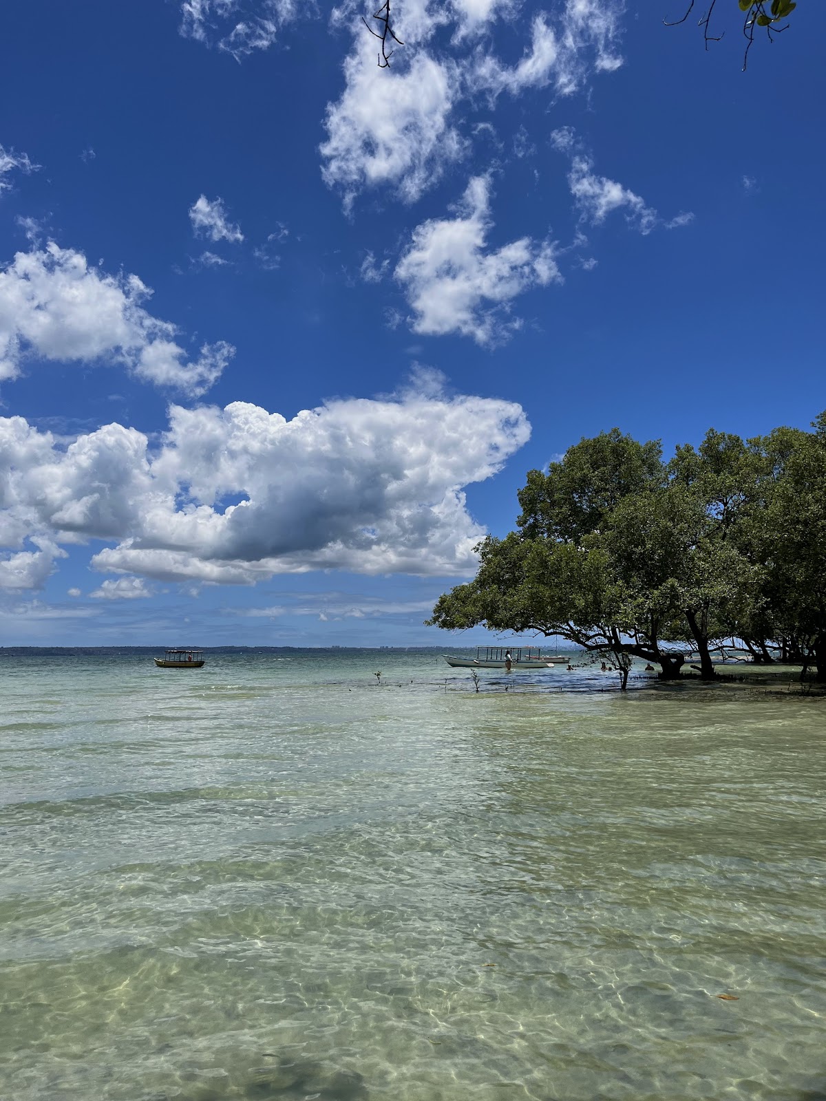Ilha de Maré