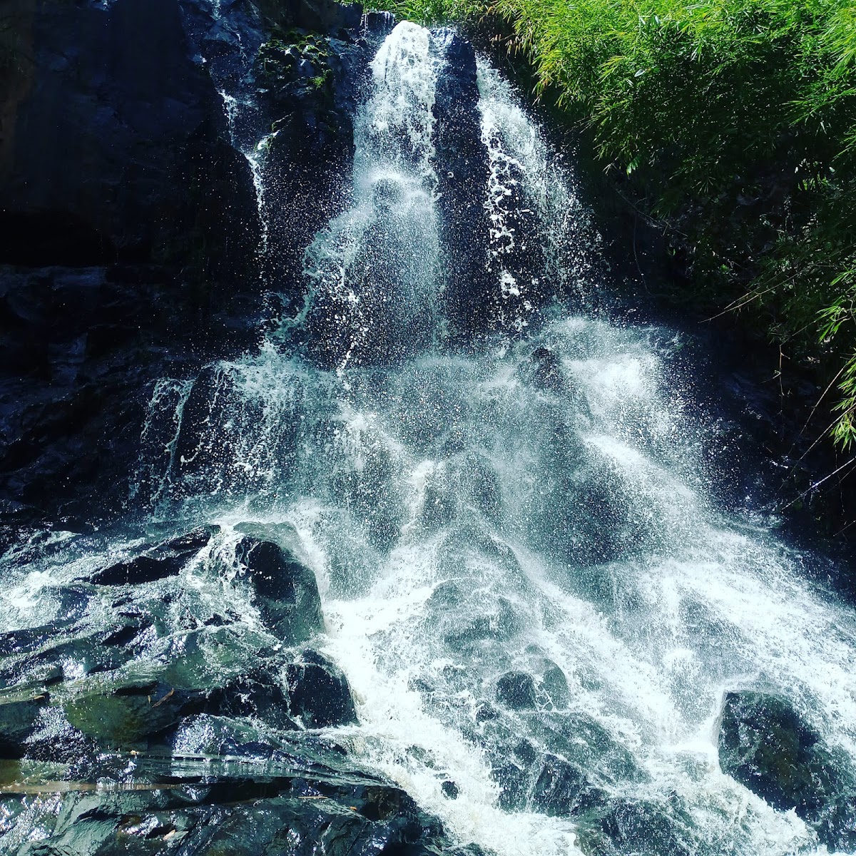 Cachoeira da Pedreira