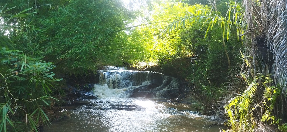 Cachoeira da Pedreira