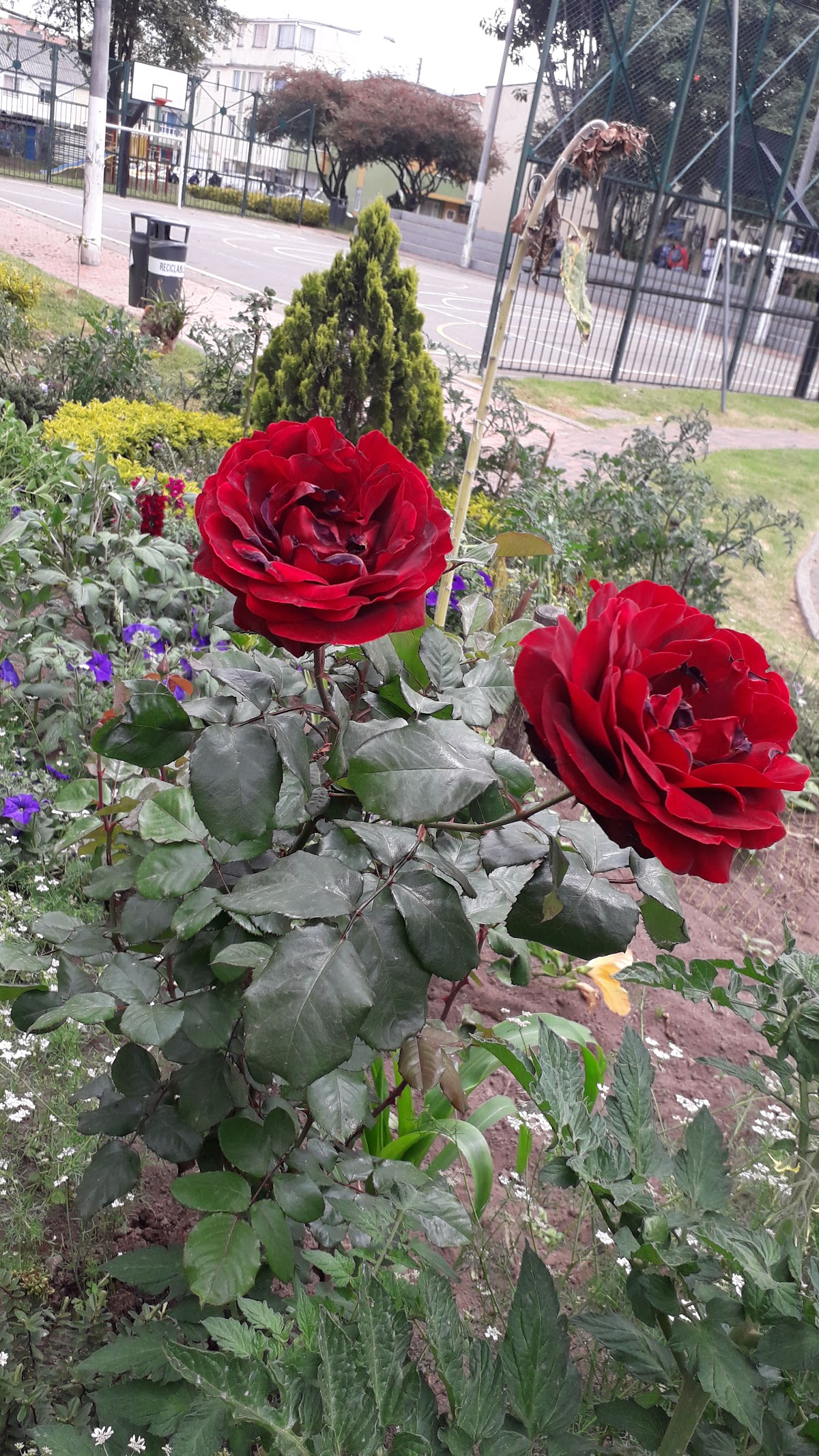 Parque Costa Azul