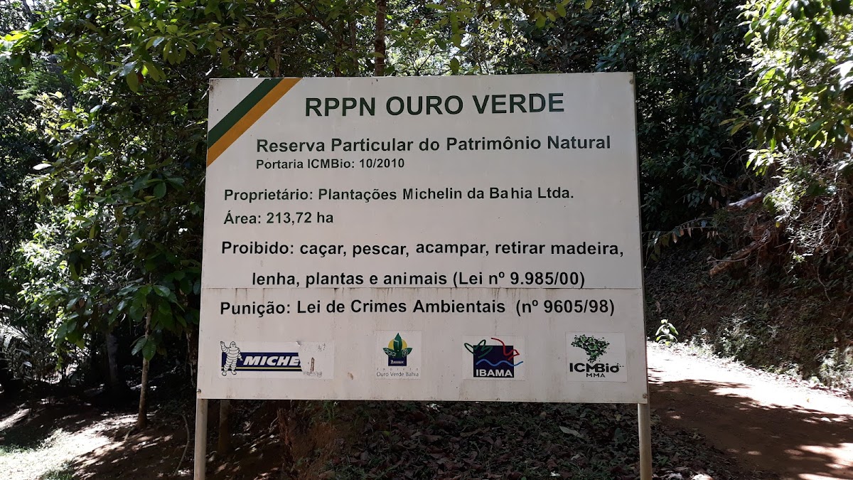 Cachoeira da Pancada Grande