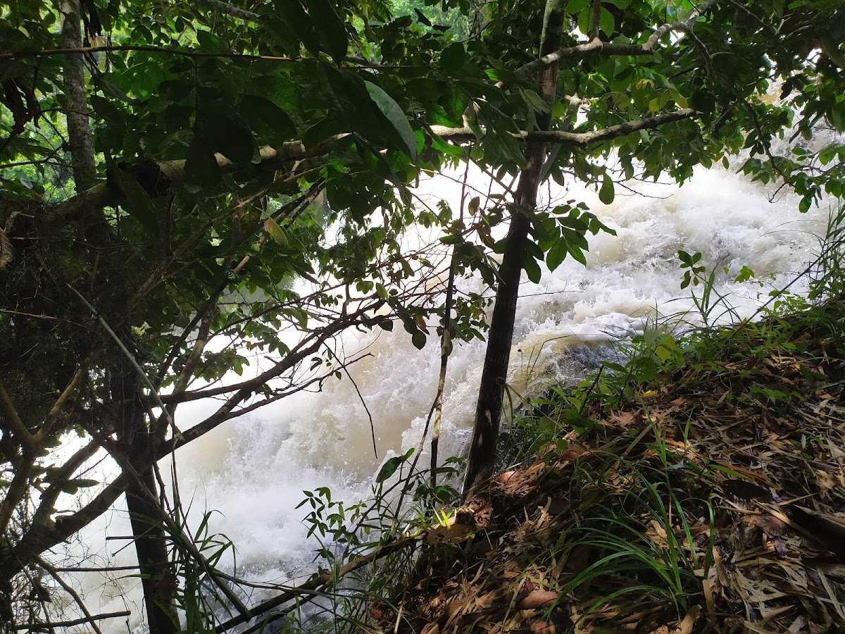 Cachoeira da Pancada Grande