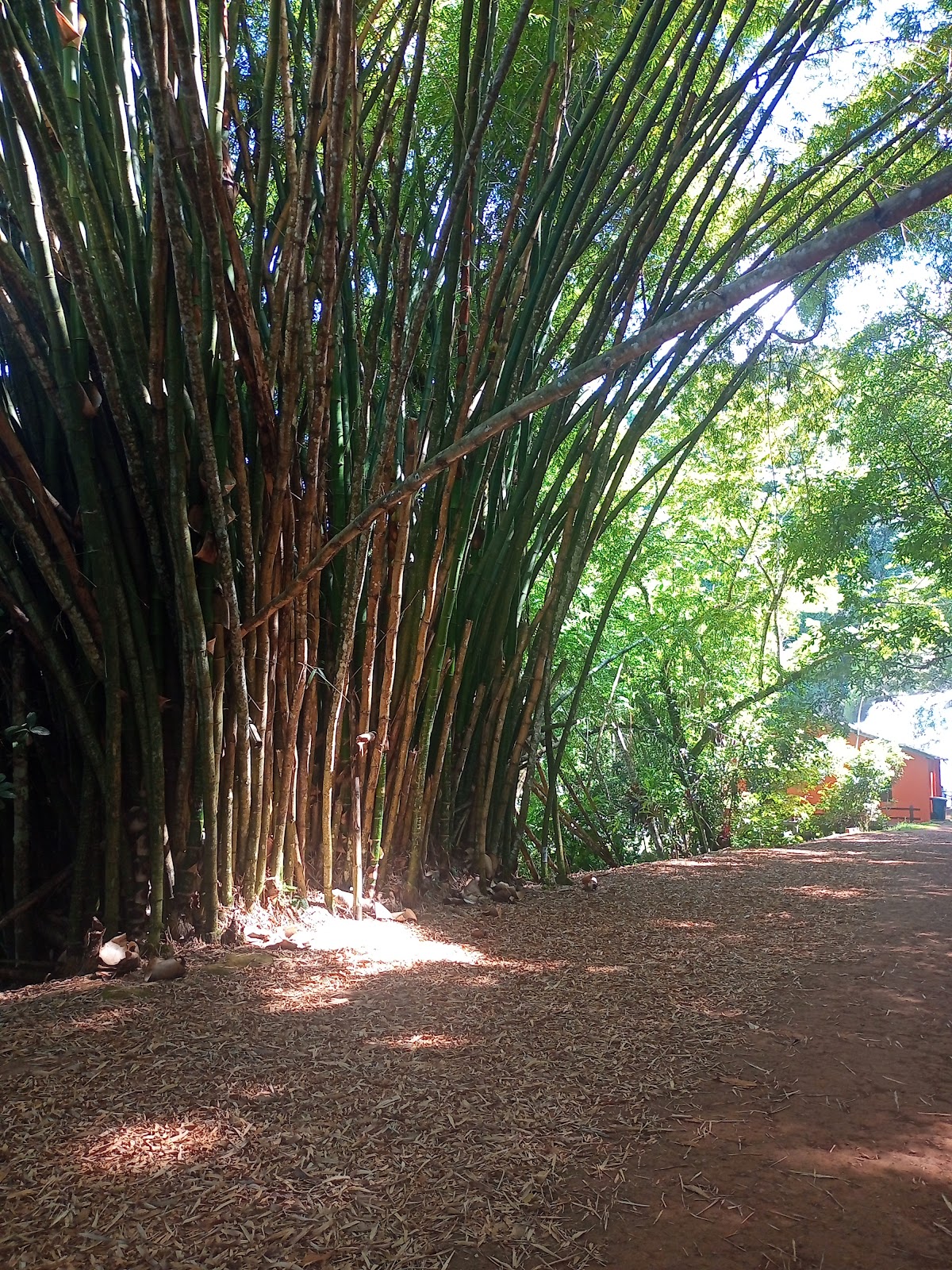 Cachoeira da Pancada Grande