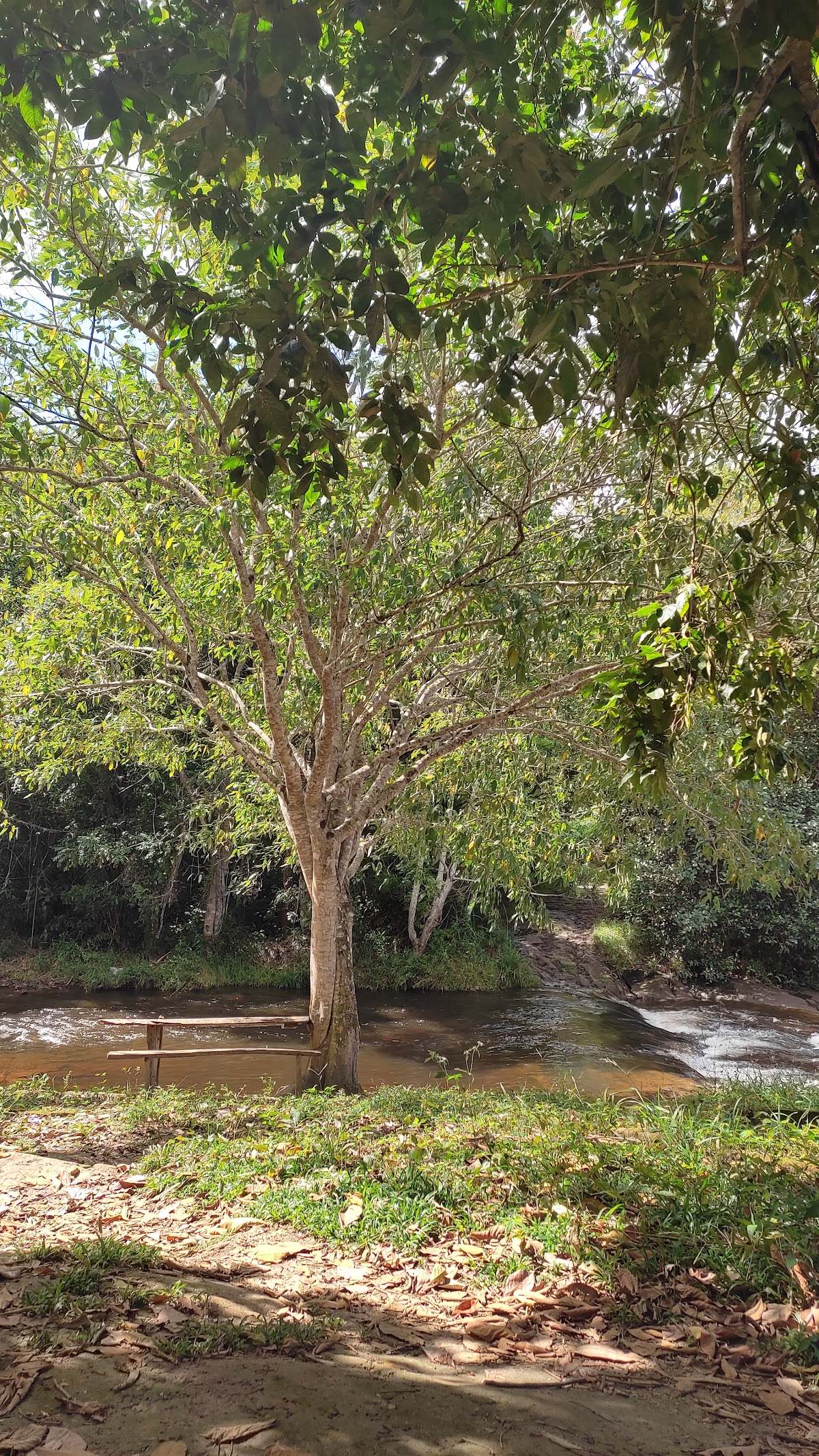 Cachoeira do Tremembé