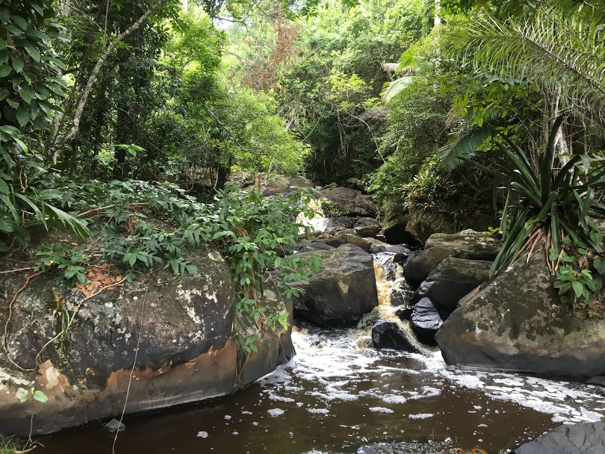 Cachoeira do Villa Rial