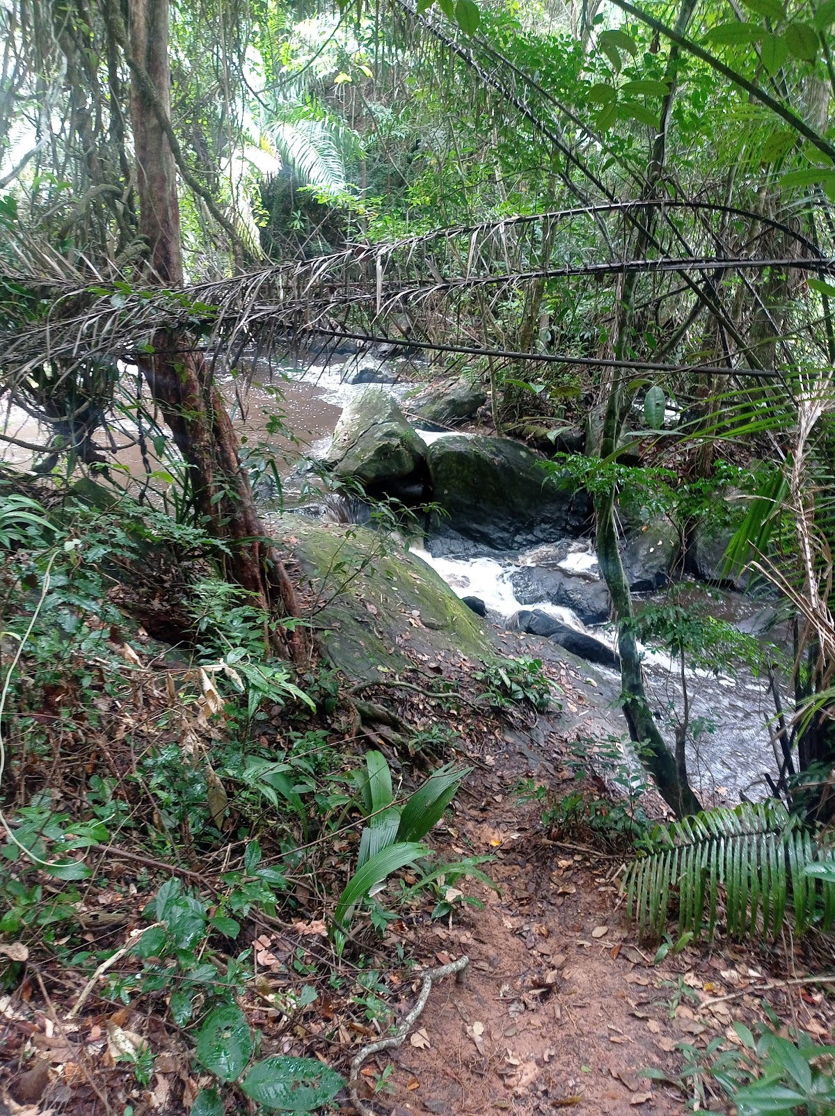 Cachoeira do Villa Rial