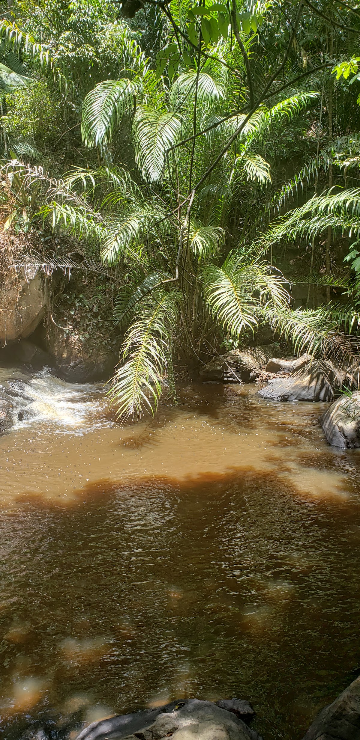 Cachoeira do Villa Rial