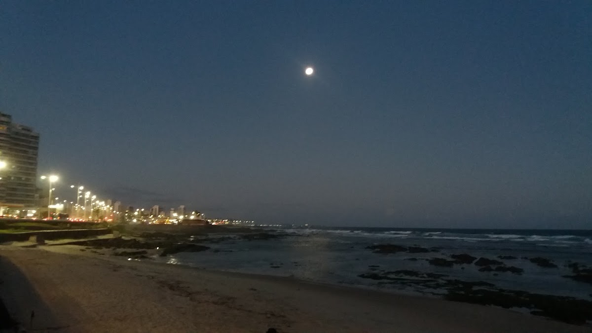 Praia da Pituba