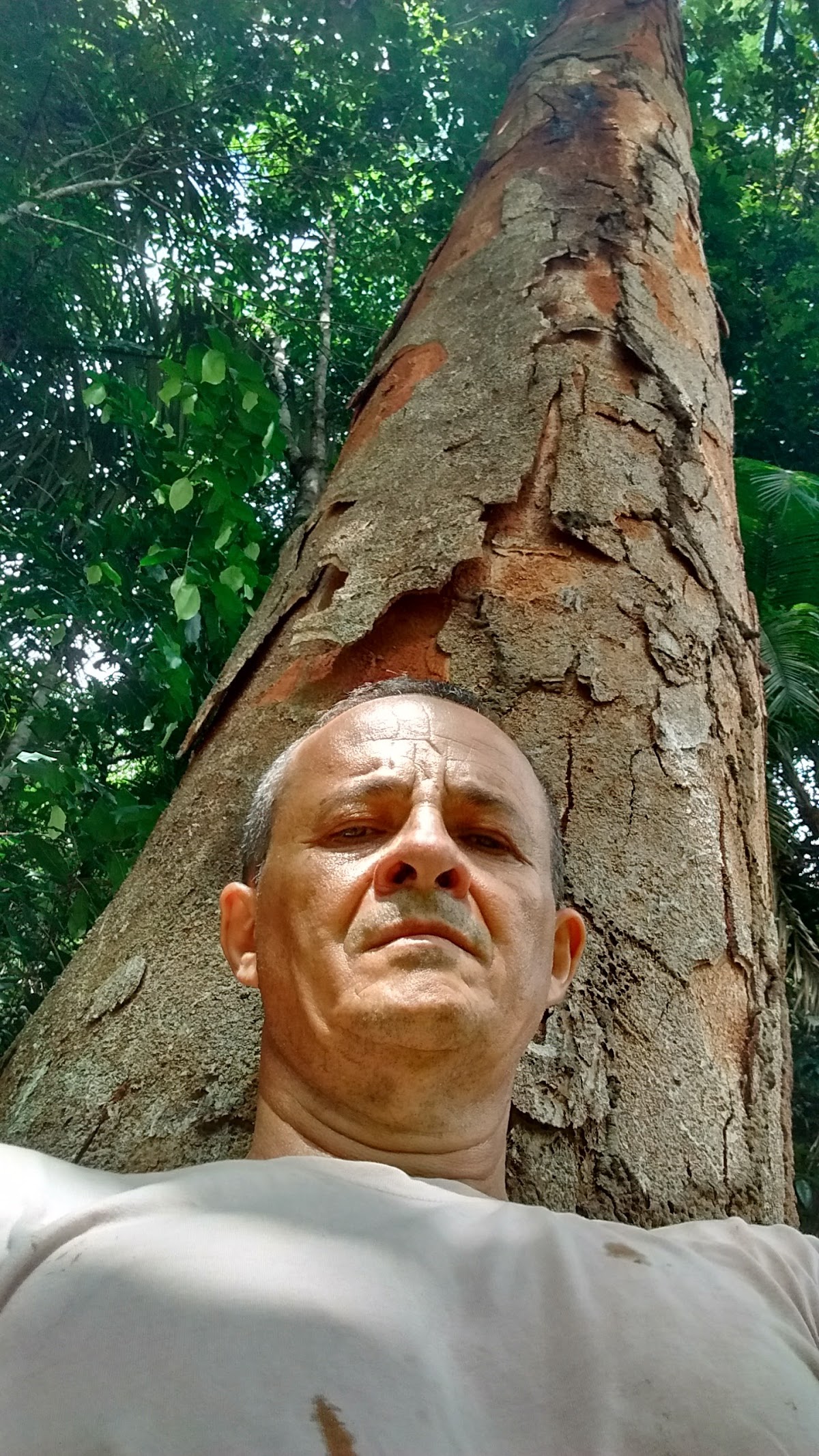 Cachoeira do Rio Baiano