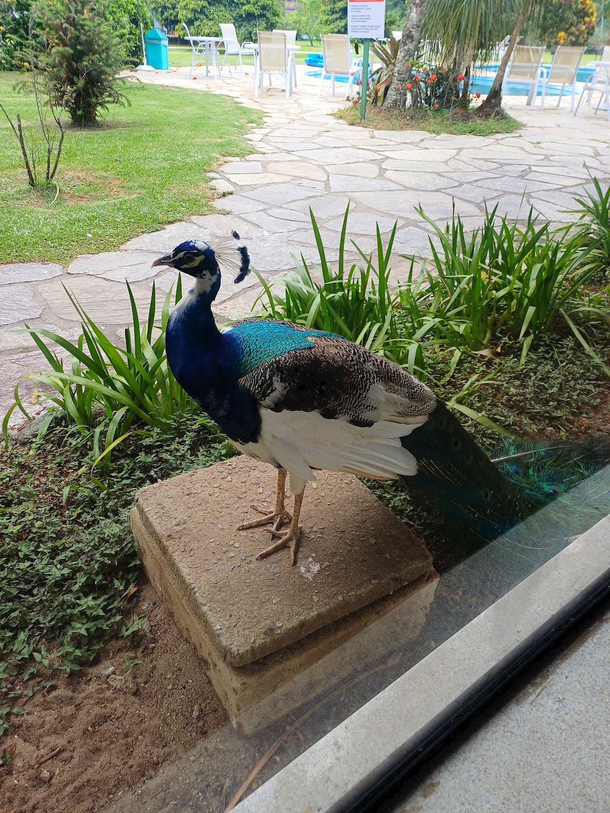 Livyd Angra dos Reis
