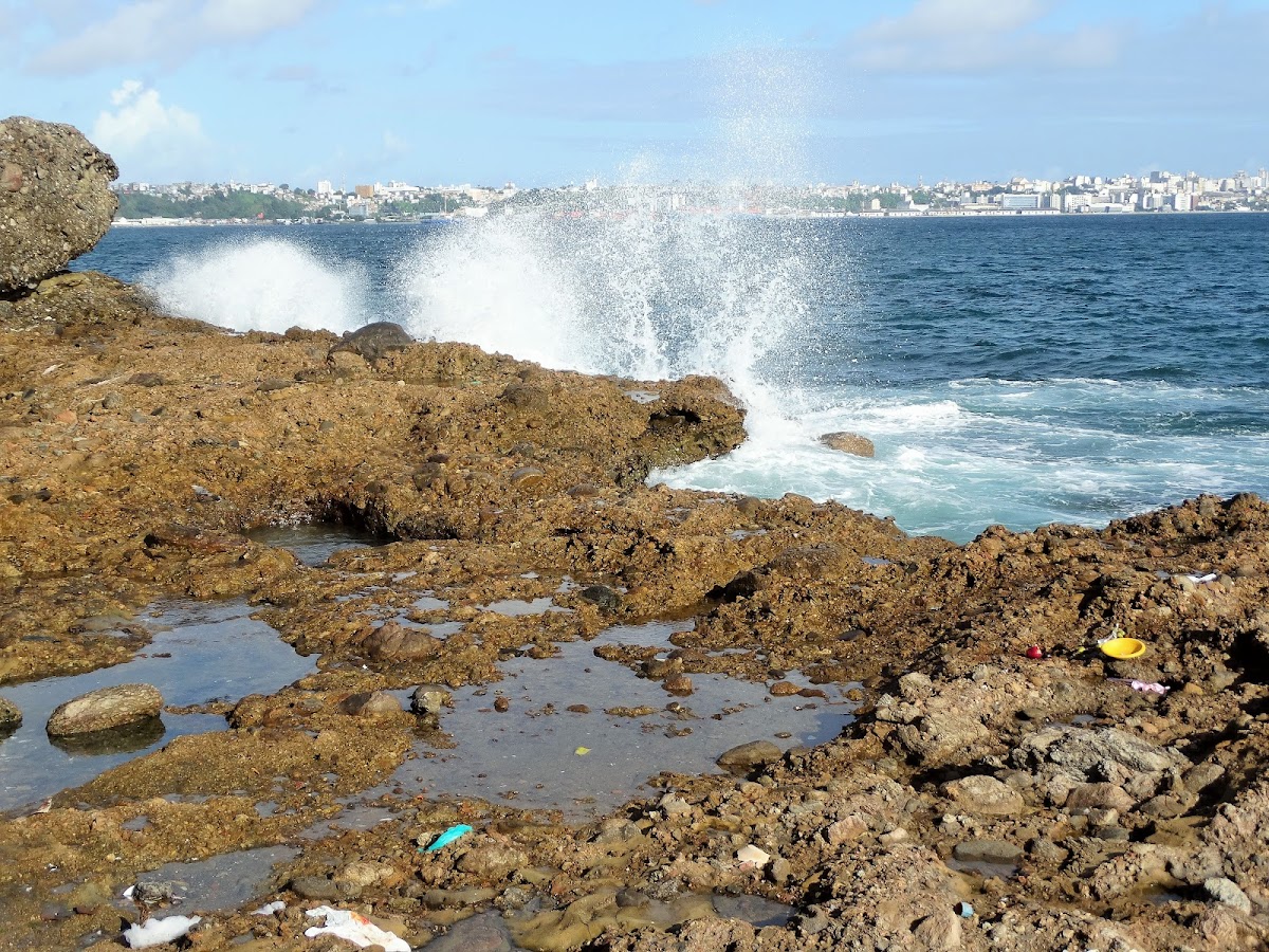 Ponta do Humaitá