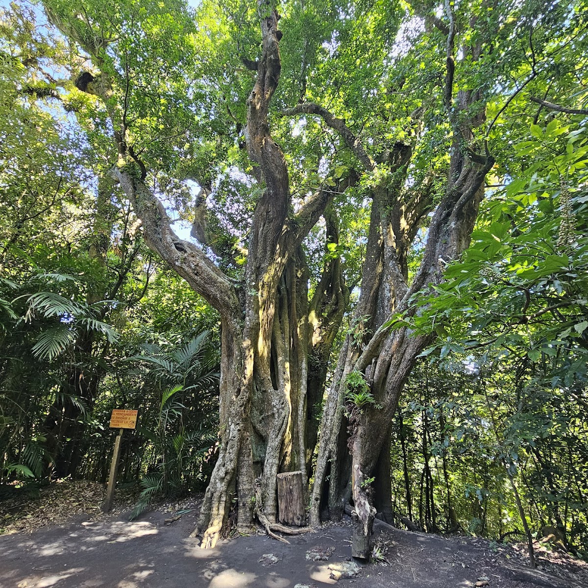 Parque Natural Cerro Verde