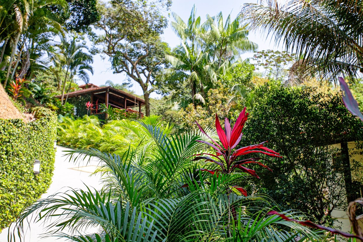 Atlantica Jungle Lodge
