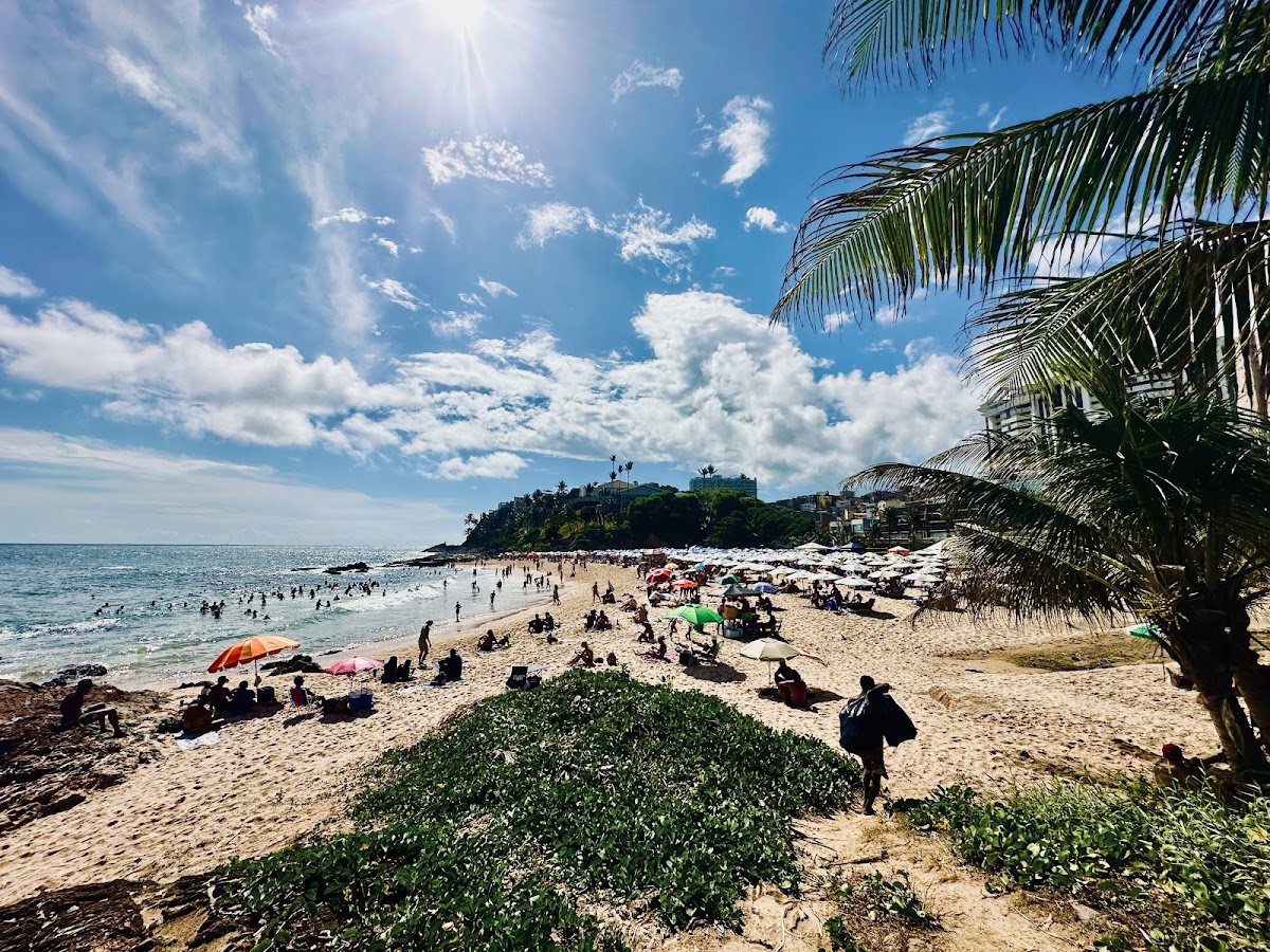 Praia da Paciencia