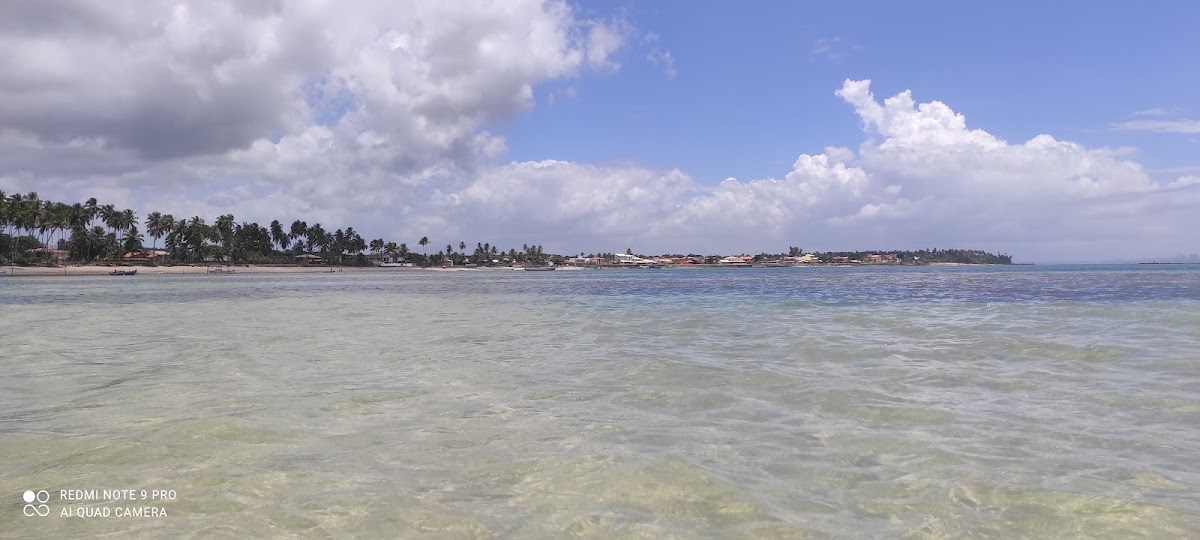 Coroa na Praia de Barra Grande