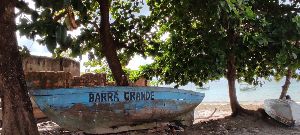 Coroa na Praia de Barra Grande