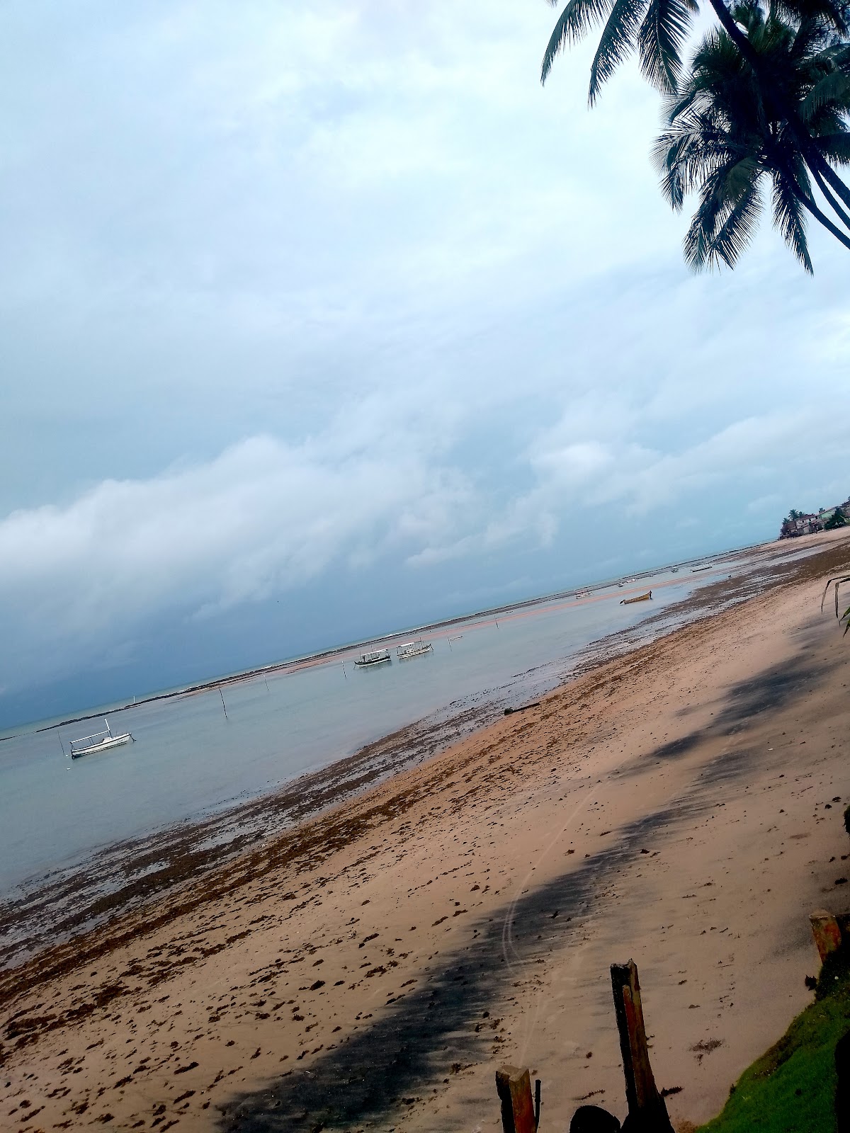 Coroa na Praia de Barra Grande