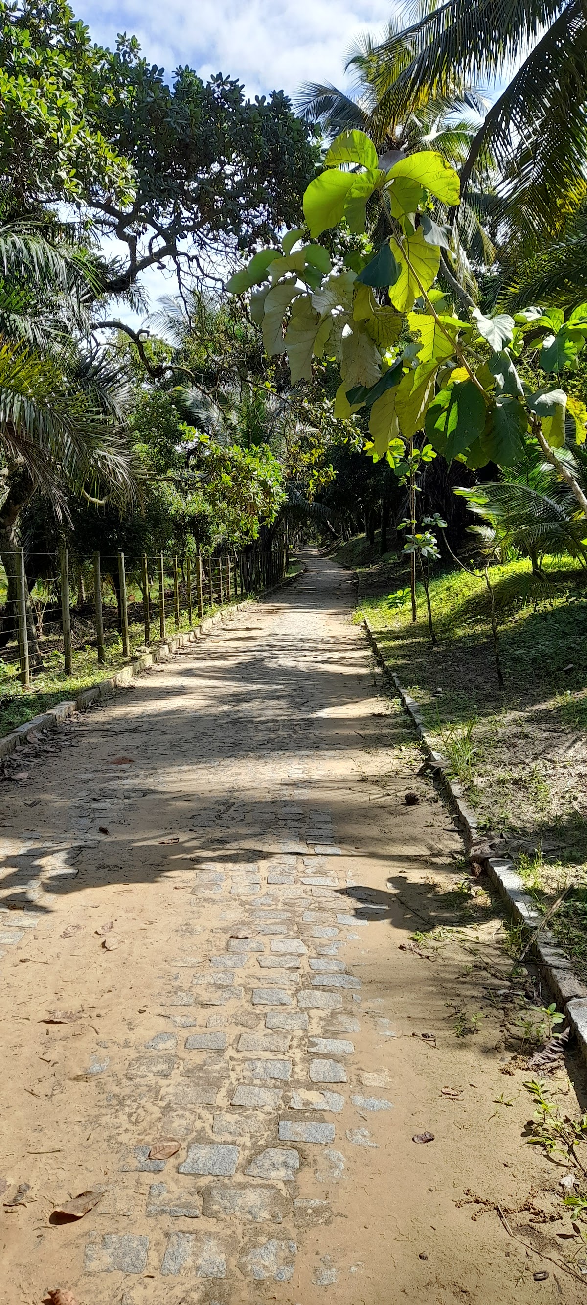 Trilha da Praia de Loreto